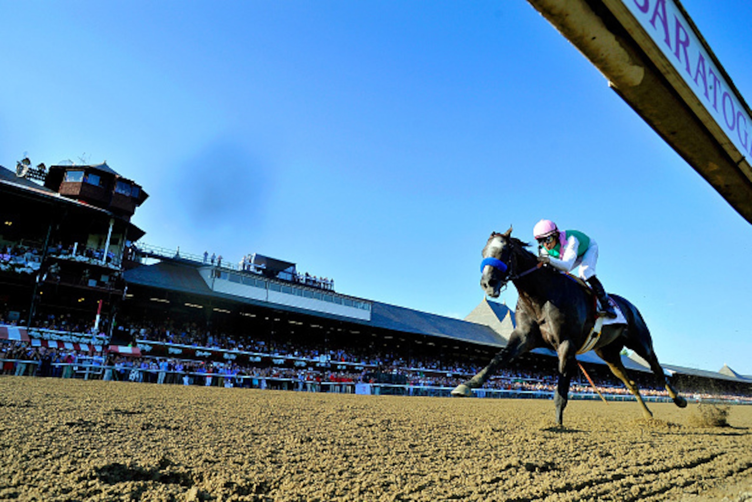 SARATOGA SPRINGS - AUGUST 27: Arrogate #1, ridden by Mike Smith, wins the Travers Stakes on Travers Stakes Day at Saratoga Race Course on August 27, 2016 in Saratoga Springs, New York.  (Photo by Scott Serio/Eclipse Sportswire/Getty Images)