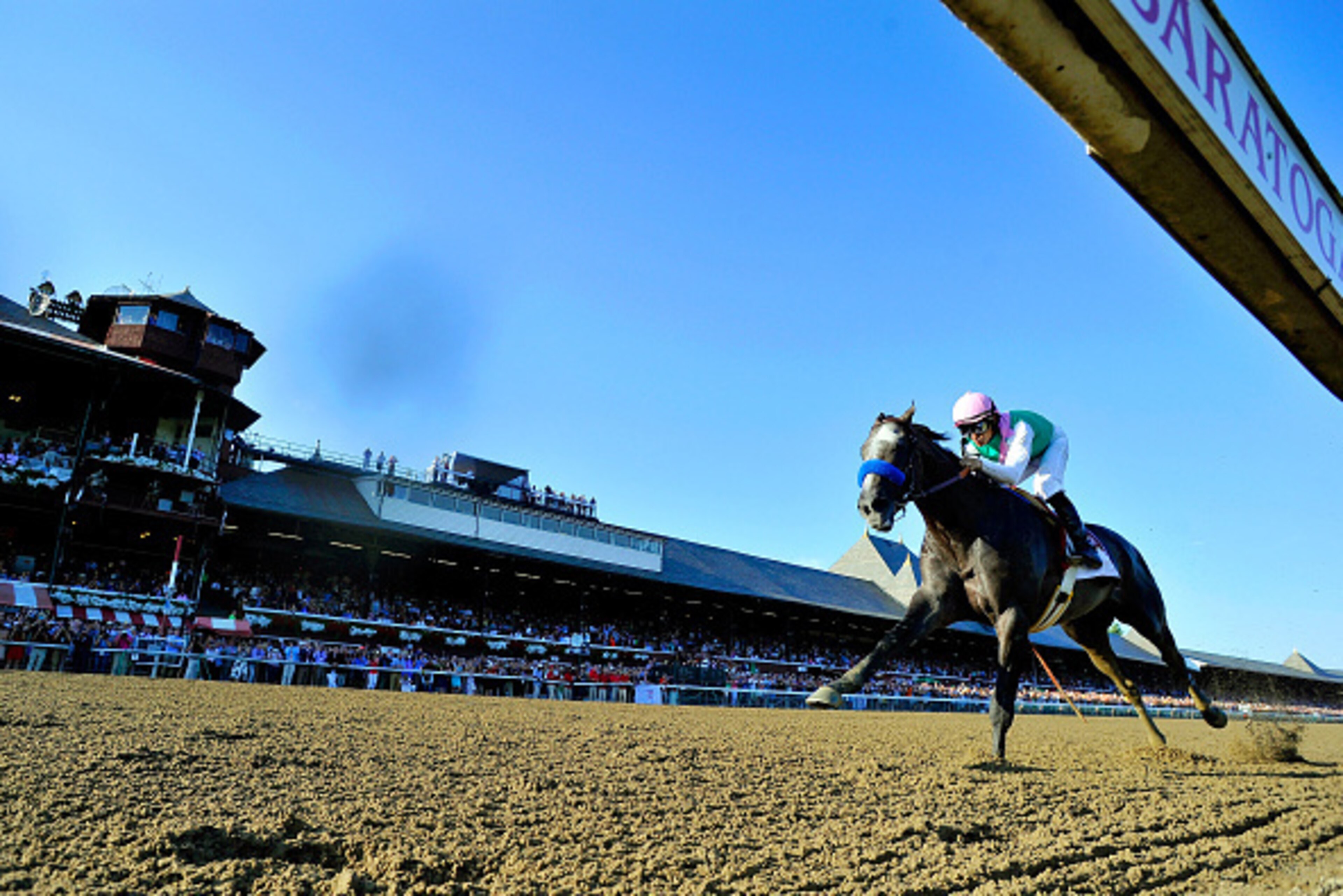SARATOGA SPRINGS - AUGUST 27: Arrogate #1, ridden by Mike Smith, wins the Travers Stakes on Travers Stakes Day at Saratoga Race Course on August 27, 2016 in Saratoga Springs, New York.  (Photo by Scott Serio/Eclipse Sportswire/Getty Images)