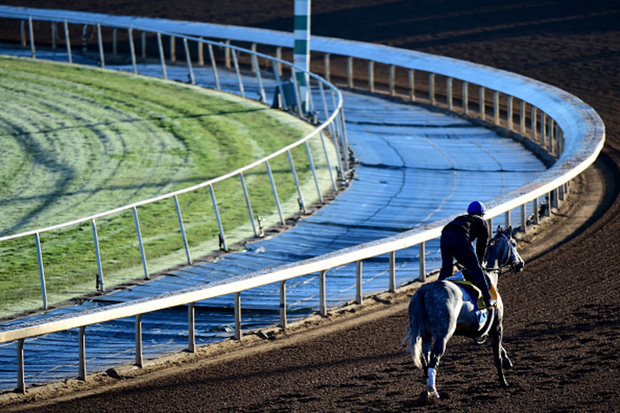 ARCADIA, CA - NOVEMBER 02:  Frosted during training for the Classic in the 2016 Breeders' Cup World Championships at Santa Anita Park on November 2, 2016 in Arcadia, California.  (Photo by Harry How/Getty Images)