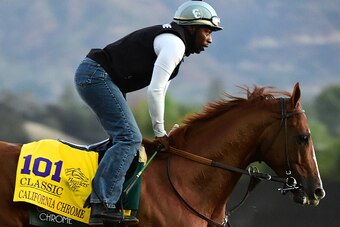 ARCADIA, CA - NOVEMBER 02:  California Chrome runs during training for the Classic in the 2016 Breeders' Cup World Championships at Santa Anita Park on November 2, 2016 in Arcadia, California.  (Photo by Harry How/Getty Images)