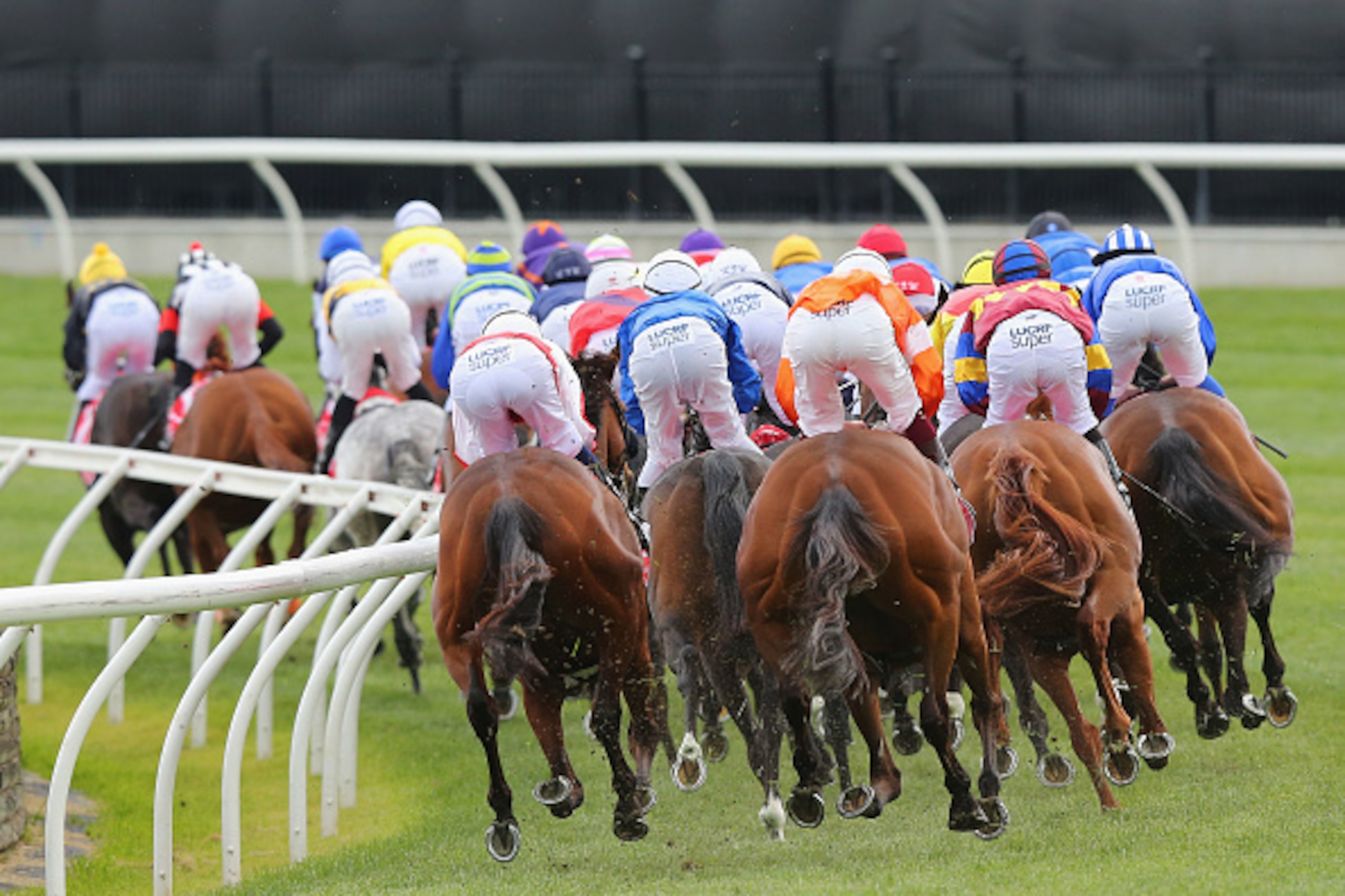 MELBOURNE, AUSTRALIA - NOVEMBER 01: Horses gallop around the first turn in race 7 the Emirates Melbourne Cup on Melbourne Cup Day at Flemington Racecourse on November 1, 2016 in Melbourne, Australia.  (Photo by Michael Dodge/Getty Images)