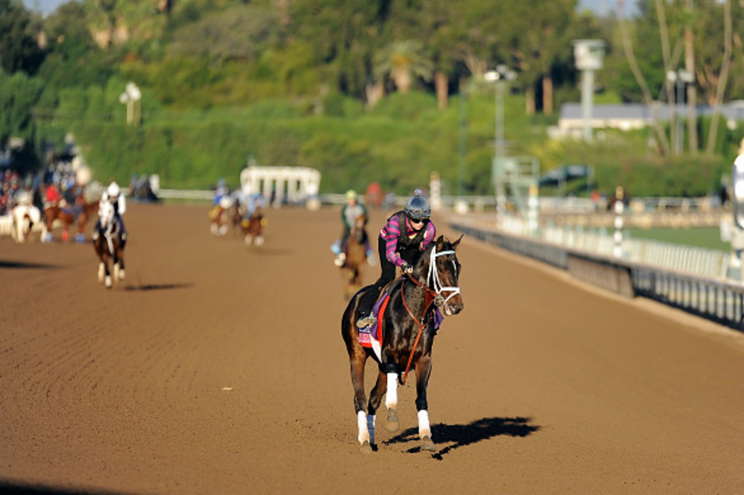 ARCADIA, CA - NOVEMBER 3: La Coronel in gallops preparation for the Breeders' Cup Juvenile Fillies Turf on November 3, 2016 at Santa Anita Race Track, Arcadia, California. (Photo by Horsephotos/Getty Images)
