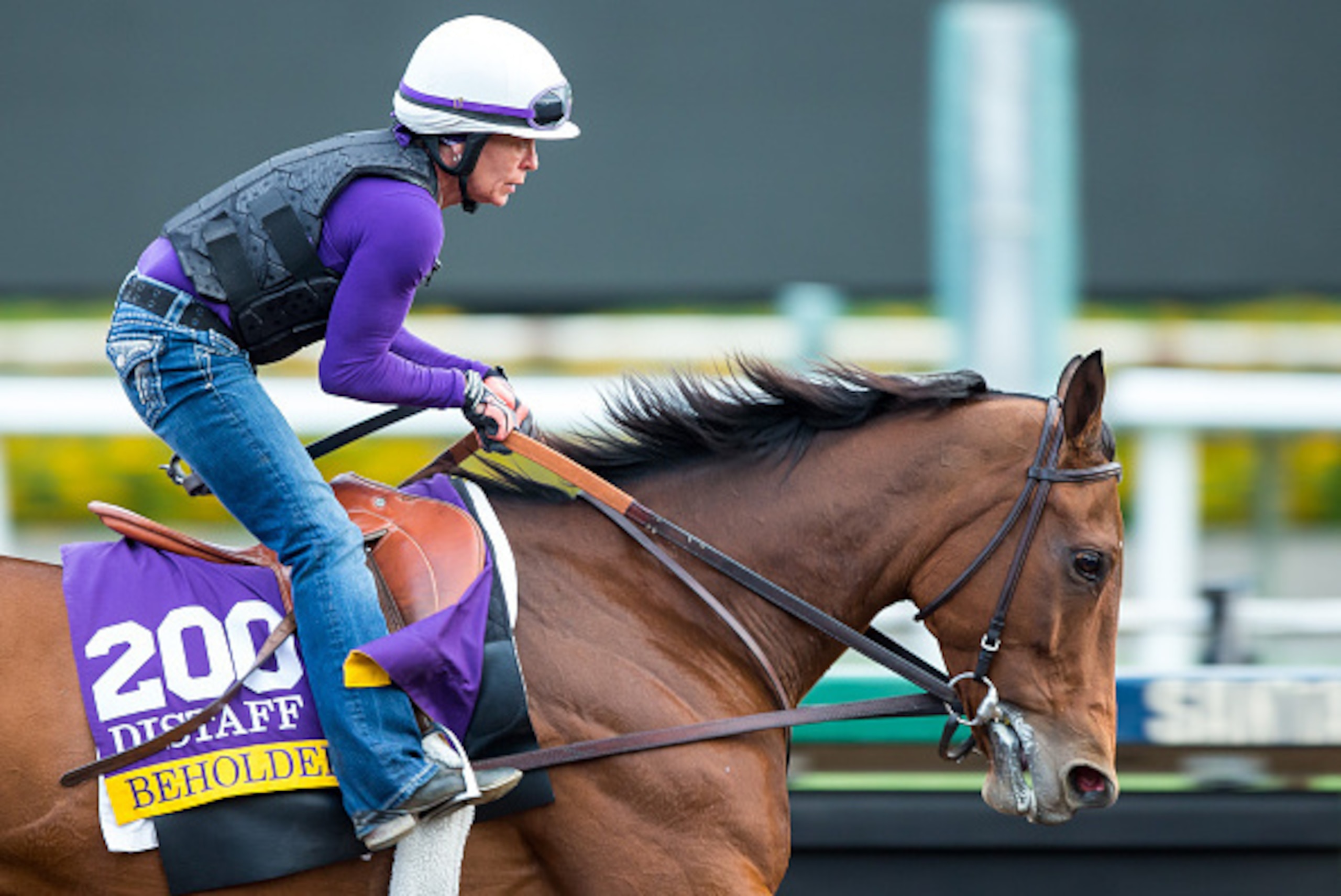 ARCADIA, CA - NOVEMBER 01: Beholder, owned by Spendthrift Farm LLC and trained by Richard E Mandella, exercises in preparation for the Breeders' Cup Longines Distaff at Santa Anita Park on November 1, 2016 in Arcadia, California. (Photo by Kazushi Ishida/