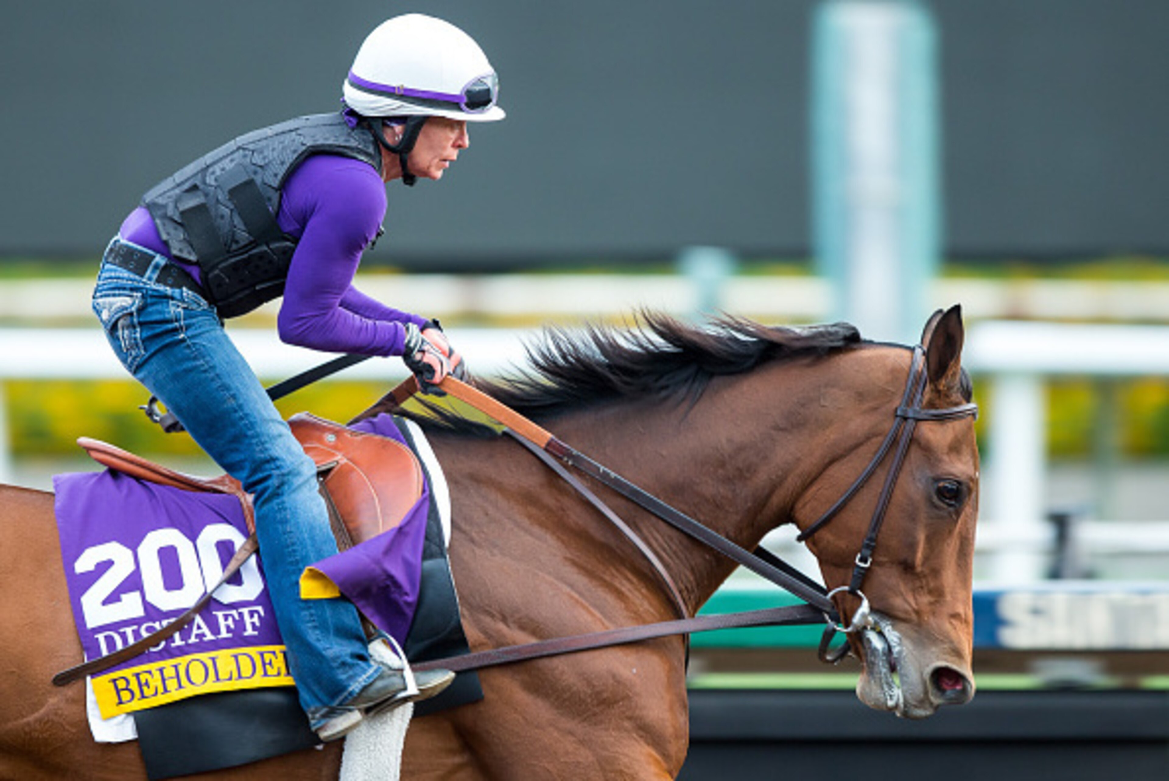 ARCADIA, CA - NOVEMBER 01: Beholder, owned by Spendthrift Farm LLC and trained by Richard E Mandella, exercises in preparation for the Breeders' Cup Longines Distaff at Santa Anita Park on November 1, 2016 in Arcadia, California. (Photo by Kazushi Ishida/ ARCADIA, CA - NOVEMBER 01: Beholder, owned by Spendthrift Farm LLC and trained by Richard E Mandella, exercises in preparation for the Breeders' Cup Longines Distaff at Santa Anita Park on November 1, 2016 in Arcadia, California. (Photo by Kazushi Ishida/
