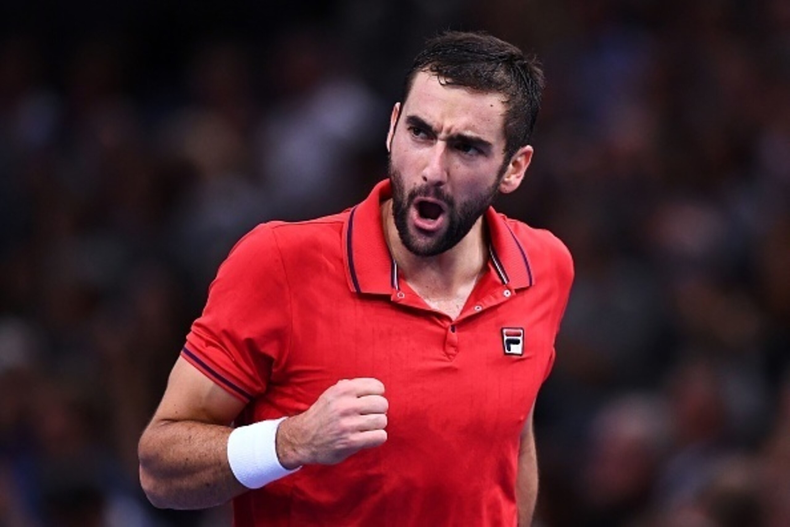 Croatia's Marin Cilic celebrates after scoring during his quarter-final tennis match against Serbia's Novak Djokovic at the ATP World Tour Masters 1000 indoor tournament in Paris on November 4, 2016. / AFP / FRANCK FIFE        (Photo credit should read FR