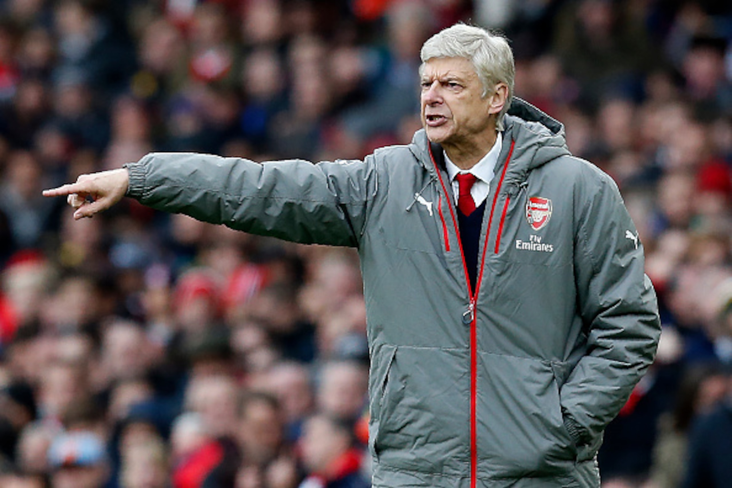Arsenal's French manager Arsene Wenger shouts instructions to his players from the touchline during the English Premier League football match between Arsenal and Tottenham Hotspur at the Emirates Stadium in London on November 6, 2016. 
The match ended 1-1