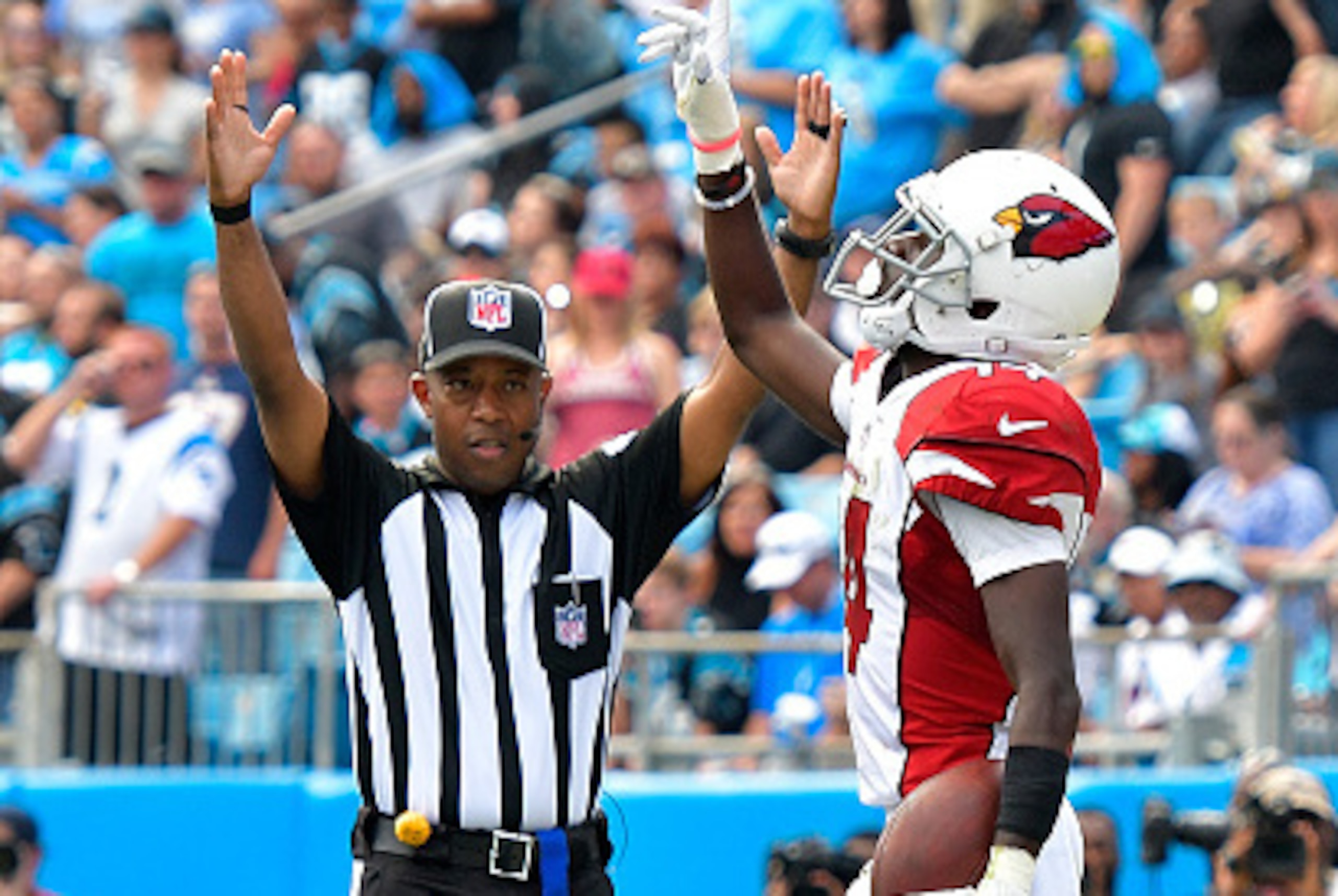 CHARLOTTE, NC - OCTOBER 30: J.J. Nelson #14 of the Arizona Cardinals reacts after scoring a 4th quarter touchdown against the Carolina Panthers during the game at Bank of America Stadium on October 30, 2016 in Charlotte, North Carolina.  (Photo by Grant H