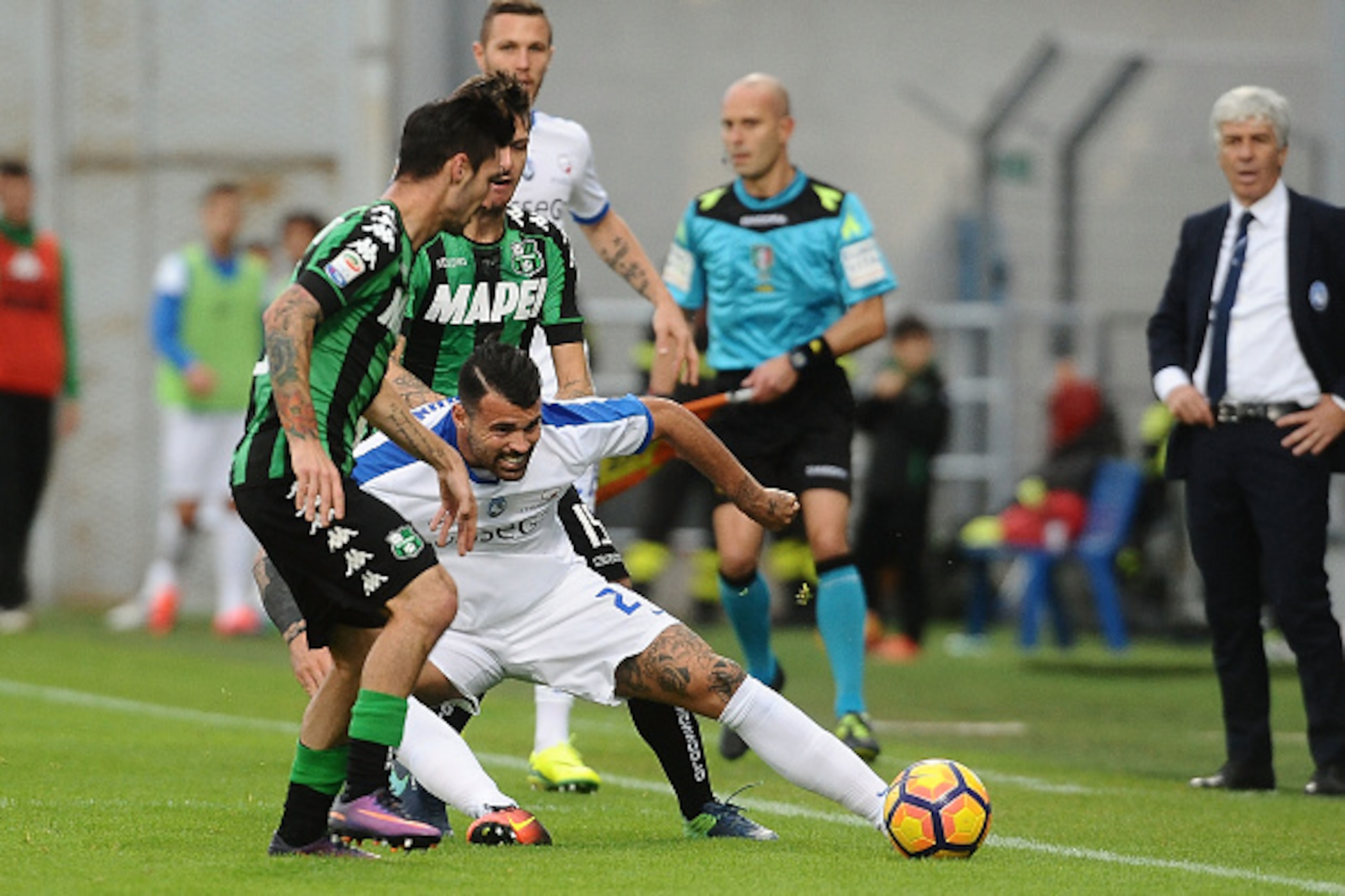 REGGIO NELL'EMILIA, ITALY - NOVEMBER 06: Andrea Petagna of Atalanta BC in action during the Serie A match between US Sassuolo and Atalanta BC at Mapei Stadium - Citta' del Tricolore on November 6, 2016 in Reggio nell'Emilia, Italy. (Photo by Mario Carlin REGGIO NELL'EMILIA, ITALY - NOVEMBER 06: Andrea Petagna of Atalanta BC in action during the Serie A match between US Sassuolo and Atalanta BC at Mapei Stadium - Citta' del Tricolore on November 6, 2016 in Reggio nell'Emilia, Italy. (Photo by Mario Carlin