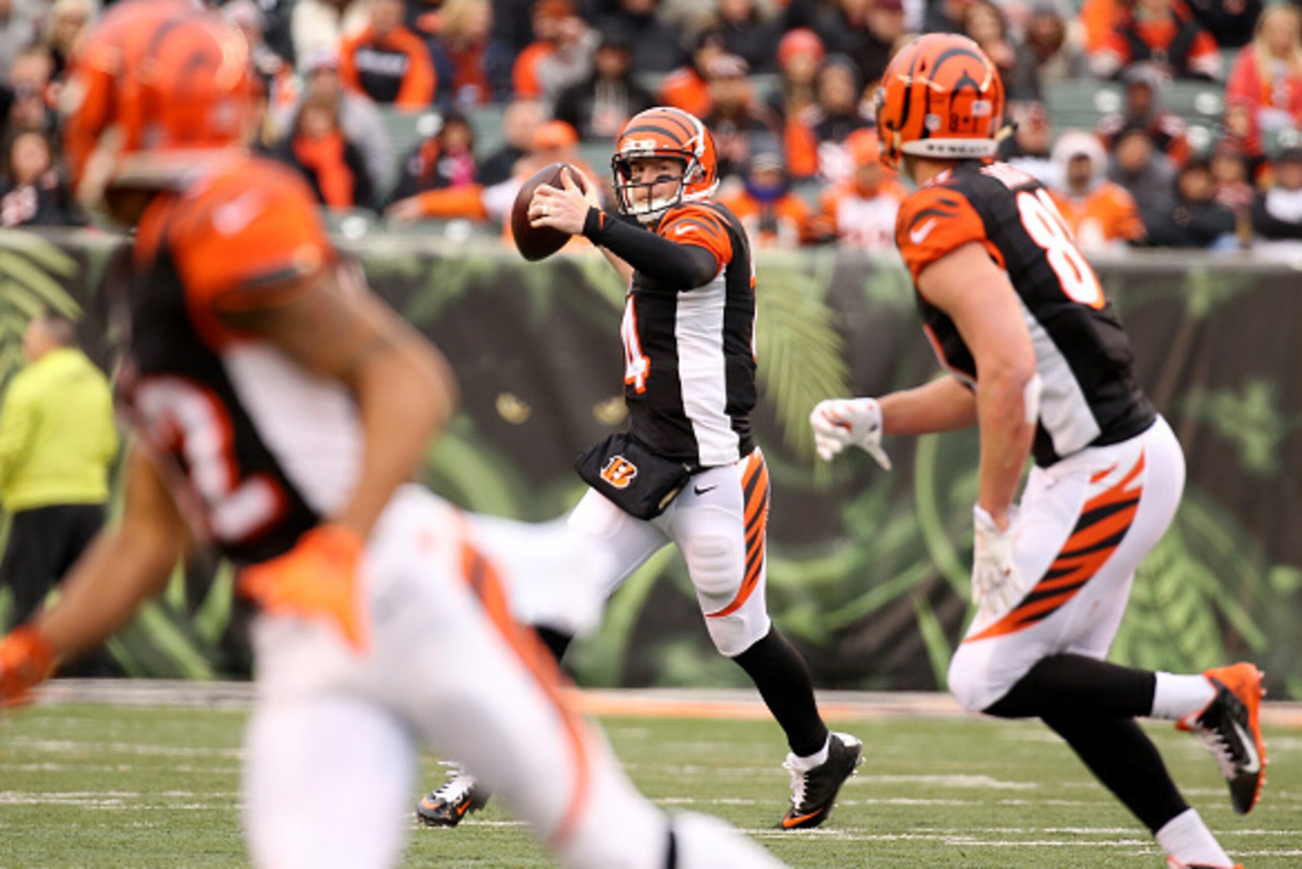 CINCINNATI, OH - NOVEMBER 29:  Andy Dalton #14 of the Cincinnati Bengals throws on the run during the game against the St. Louis Rams at Paul Brown Stadium on November 29, 2015 in Cincinnati, Ohio.  (Photo by Andy Lyons/Getty Images)