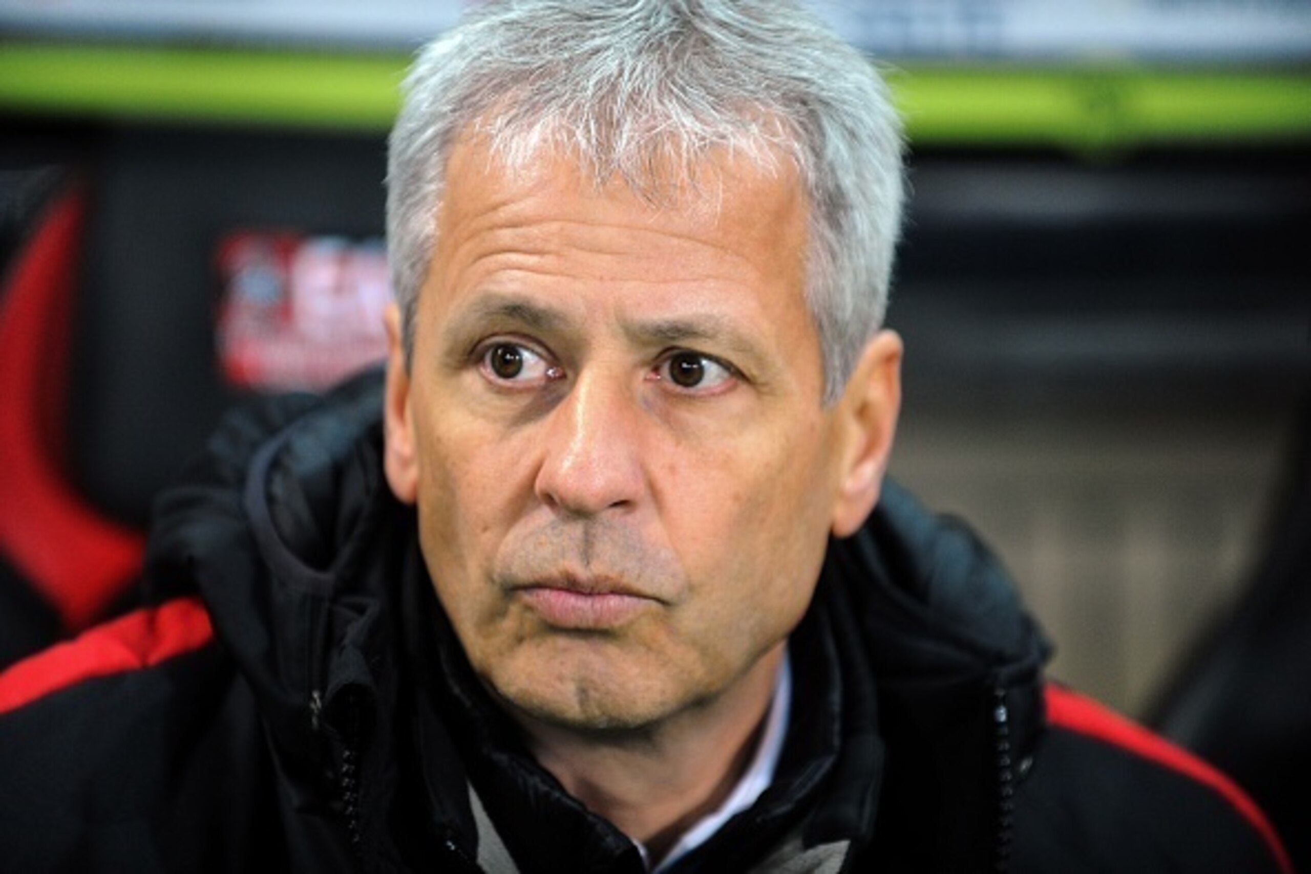 Nice's Swiss head coach Lucien Favre attends the French L1 football match Guingamp vs Nice on November 30, 2016 at the Roudourou stadium in Guingamp. / AFP / FRED TANNEAU        (Photo credit should read FRED TANNEAU/AFP/Getty Images)