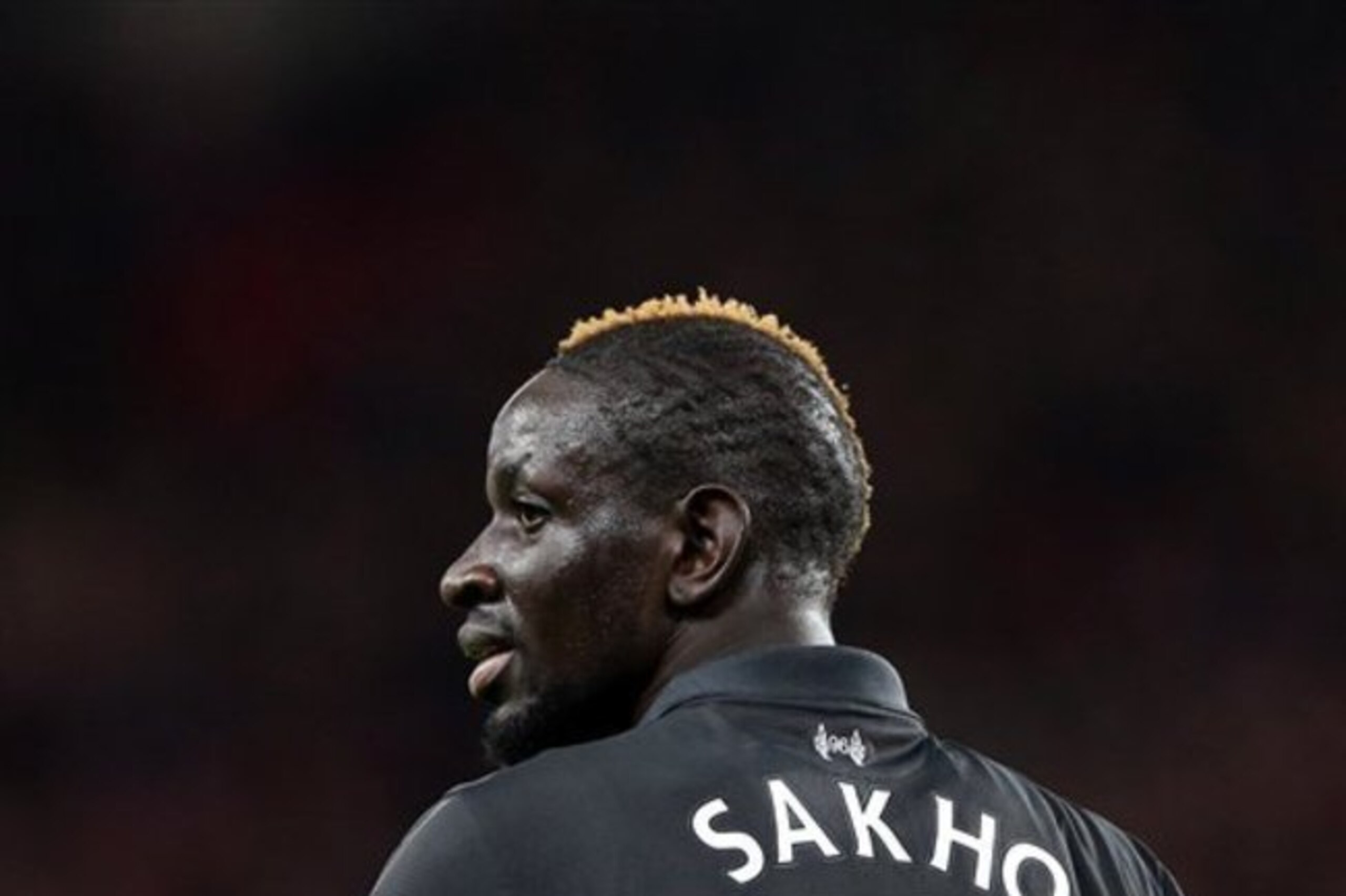 Liverpool outcast Mamadou Sakho would fit in at Bayern.