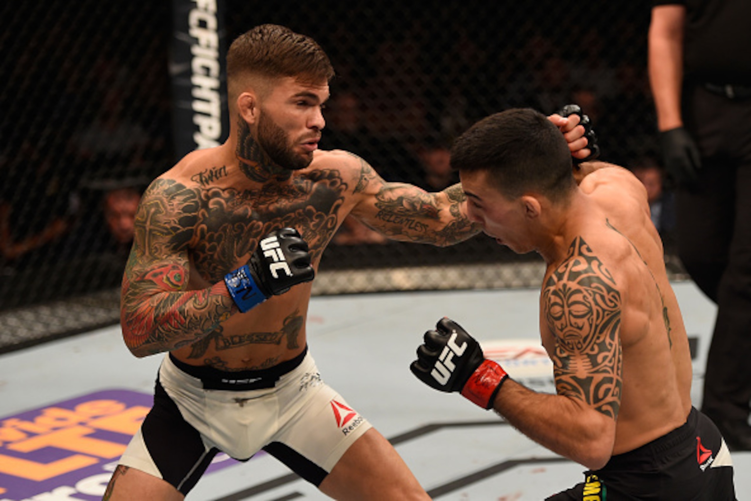 LAS VEGAS, NV - MAY 29:  (L-R) Cody Garbrandt punches Thomas Almeida of Brazil in their bantamweight bout during the UFC Fight Night event inside the Mandalay Bay Events Center on May 29, 2016 in Las Vegas, Nevada.  (Photo by Josh Hedges/Zuffa LLC/Zuffa L