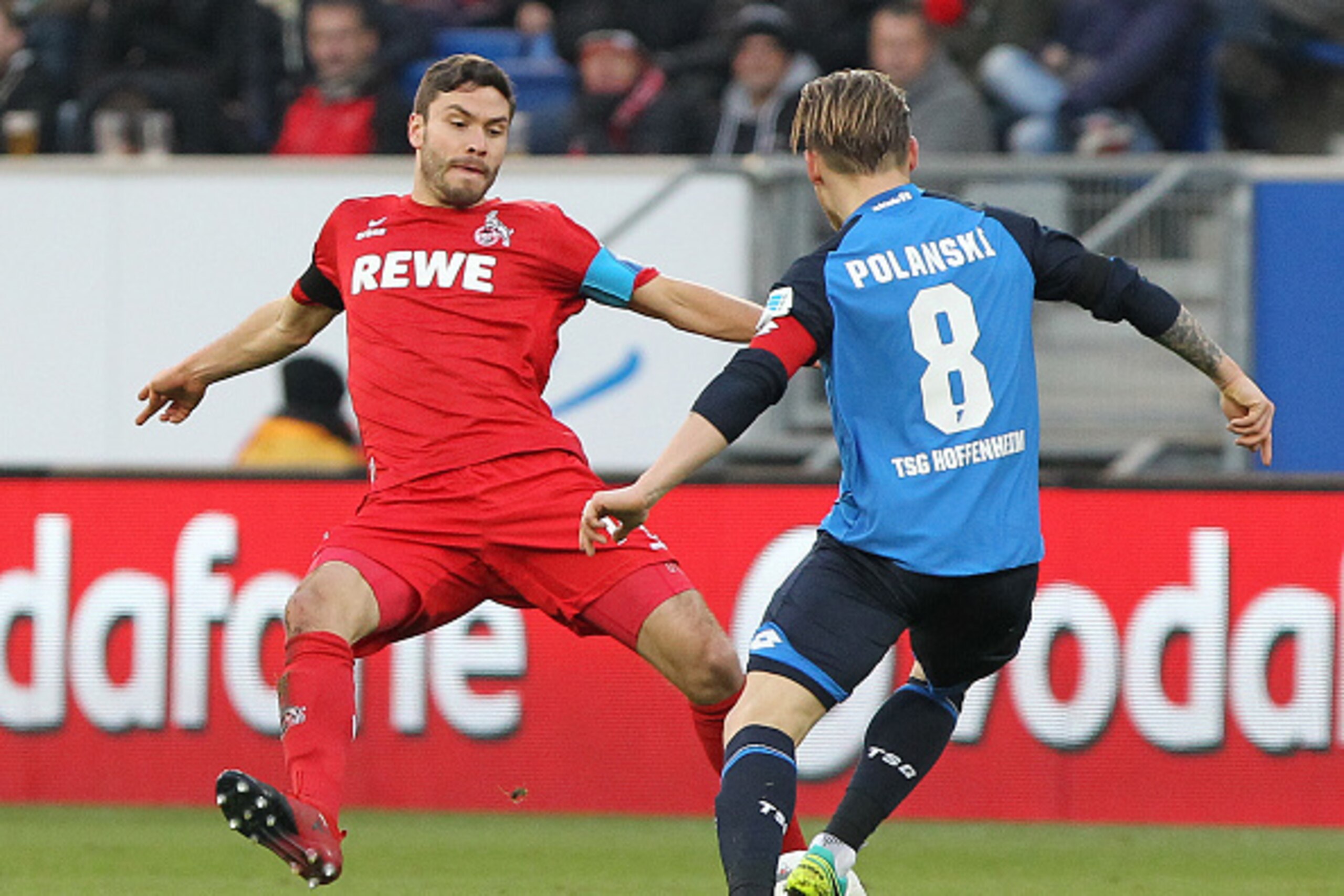 Hoffenheim's Polish midfielder Eugen Polanski and Cologne's defender Jonas Hector (L) vie for the ball during the German first division Bundesliga football match between TSG Hoffenheim and 1 FC Cologne at the Wirsol Rhein-Neckar-Arena in Sinsheim, souther Hoffenheim's Polish midfielder Eugen Polanski and Cologne's defender Jonas Hector (L) vie for the ball during the German first division Bundesliga football match between TSG Hoffenheim and 1 FC Cologne at the Wirsol Rhein-Neckar-Arena in Sinsheim, souther