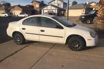 Lauren Murphy's Neon