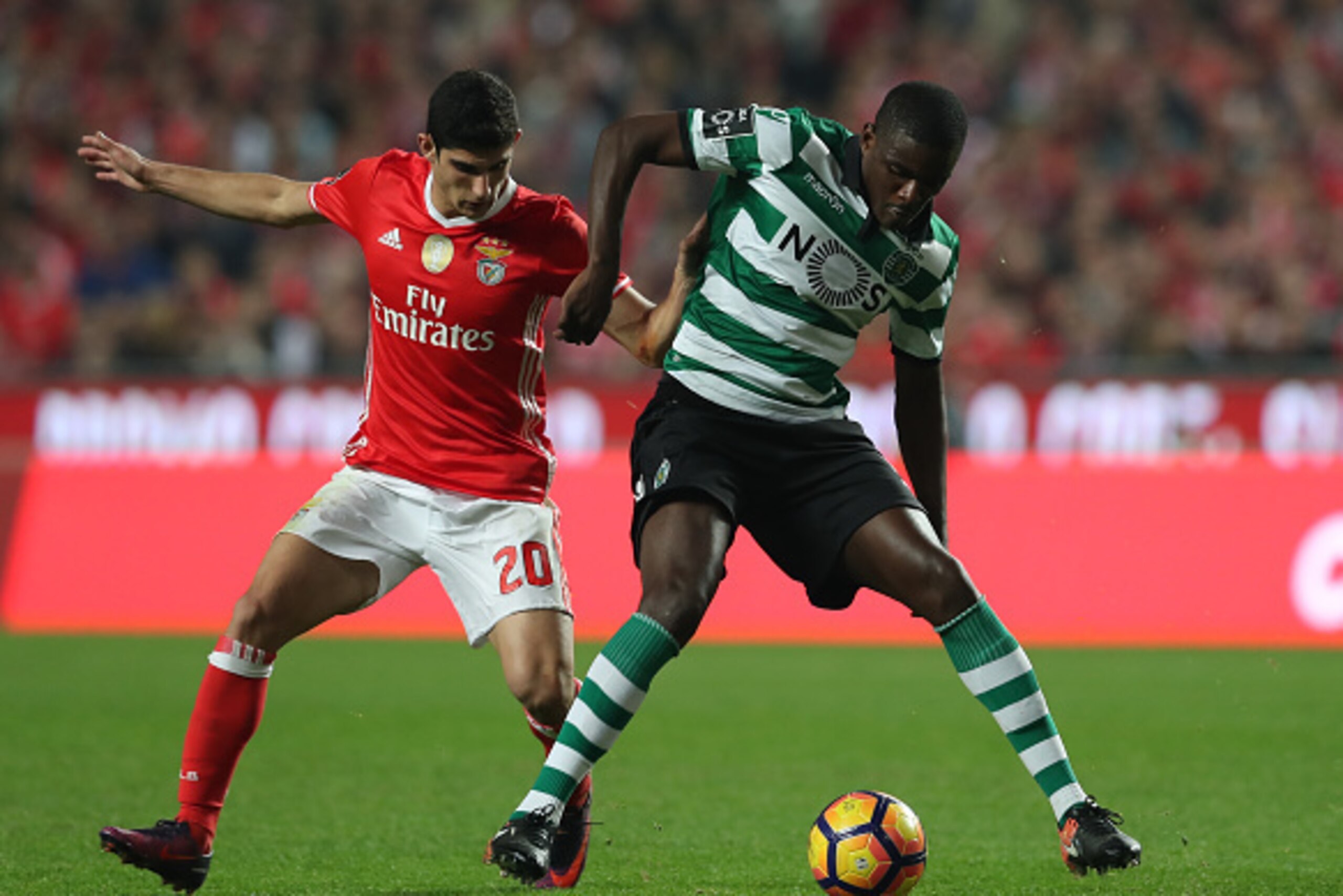 LISBON, PORTUGAL - DECEMBER 11: Benfica's forward Goncalo Guedes from Portugal (L) vies with Sporting CP's midfielder William Carvalho from Portugal (R)  during the match between SL Benfica v Sporting CP  for the Portugueses Primeira Liga at Estadio da Lu