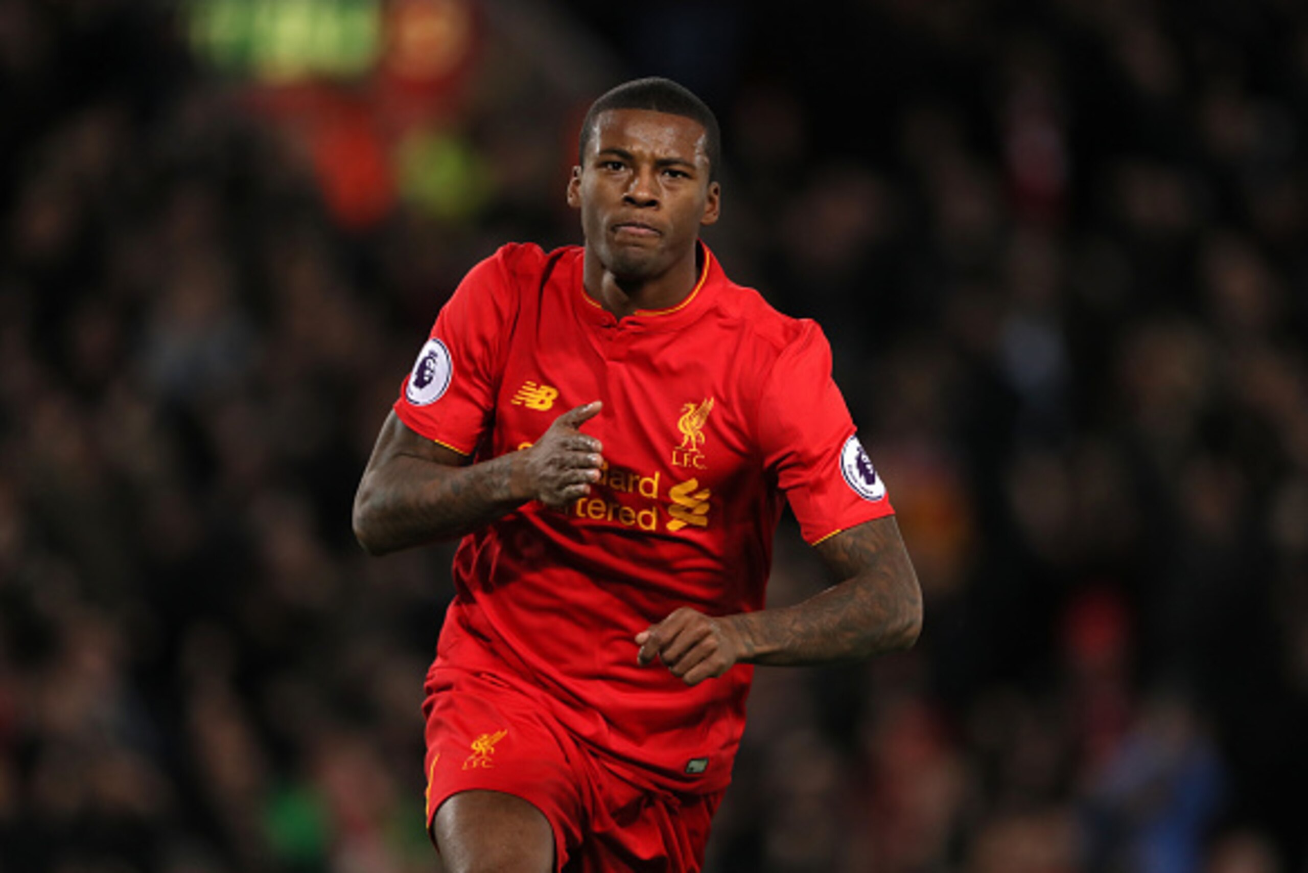 LIVERPOOL, ENGLAND - DECEMBER 31: Georginio Wijnaldum of Liverpool celebrates after scoring a goal to make it 1-0 during the Premier League match between Liverpool and Manchester City at Anfield on December 31, 2016 in Liverpool, England. (Photo by Matthe