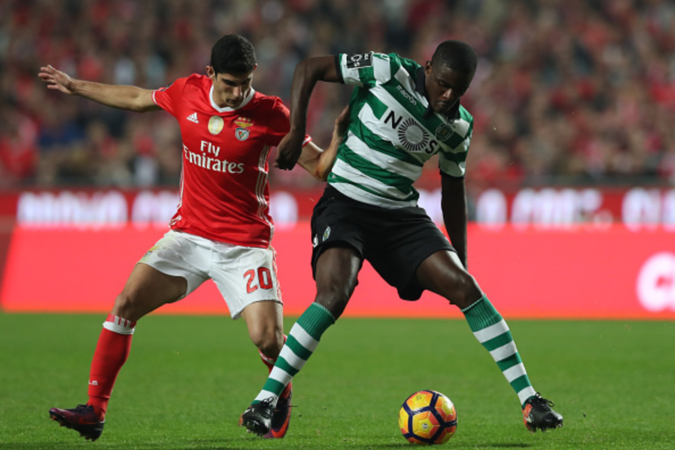 LISBON, PORTUGAL - DECEMBER 11: Benfica's forward Goncalo Guedes from Portugal (L) vies with Sporting CP's midfielder William Carvalho from Portugal (R) during the match between SL Benfica v Sporting CP for the Portugueses Primeira Liga at Estadio da Lu LISBON, PORTUGAL - DECEMBER 11: Benfica's forward Goncalo Guedes from Portugal (L) vies with Sporting CP's midfielder William Carvalho from Portugal (R) during the match between SL Benfica v Sporting CP for the Portugueses Primeira Liga at Estadio da Lu