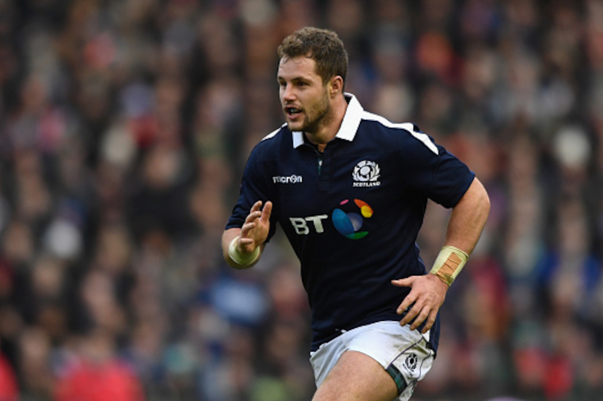 EDINBURGH, SCOTLAND - FEBRUARY 04:  Scotland player Allan Dell in action during the RBS Six Nations match between Scotland and Ireland at Murrayfield Stadium on February 4, 2017 in Edinburgh, Scotland.  (Photo by Stu Forster/Getty Images)