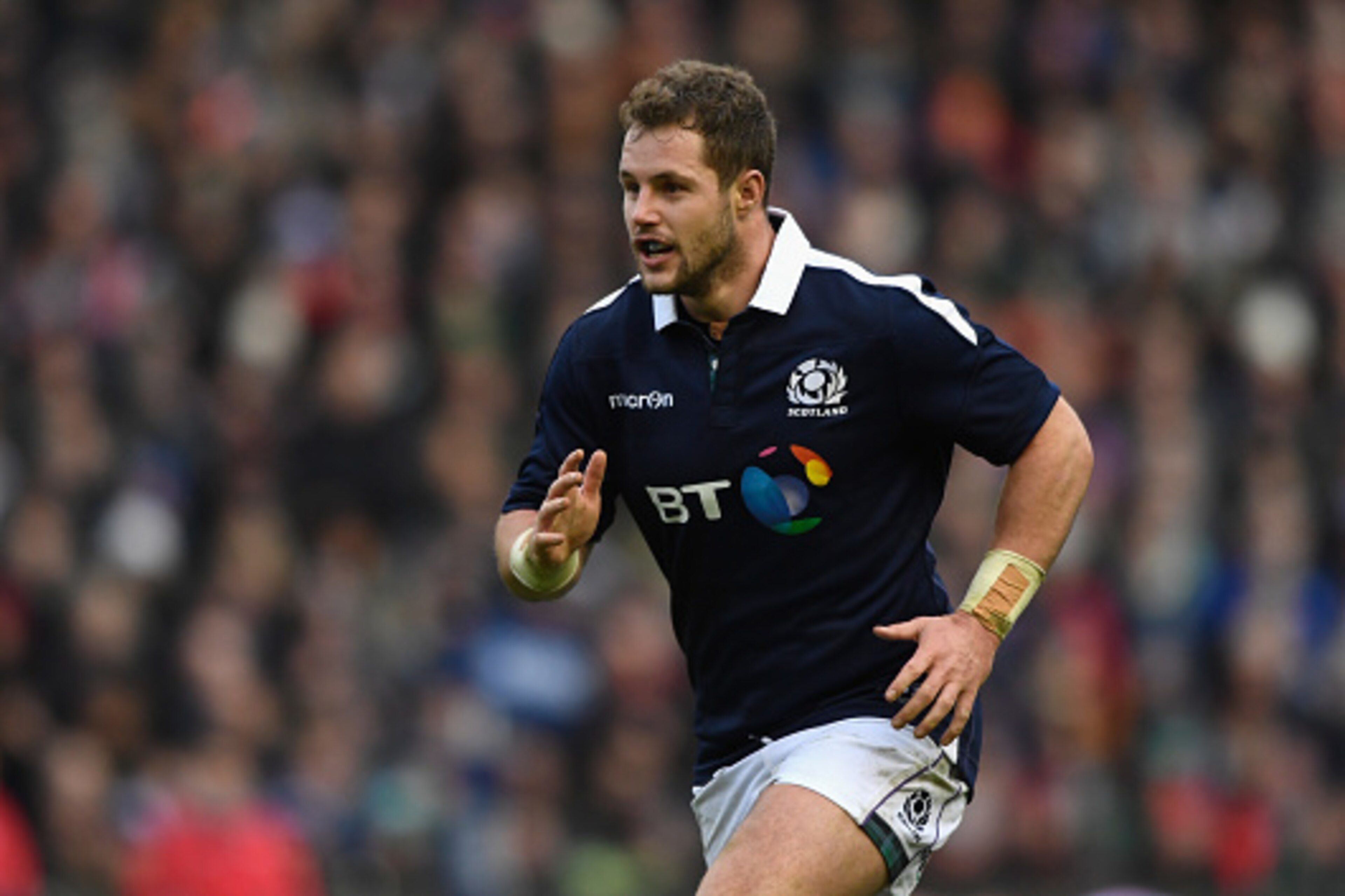 EDINBURGH, SCOTLAND - FEBRUARY 04:  Scotland player Allan Dell in action during the RBS Six Nations match between Scotland and Ireland at Murrayfield Stadium on February 4, 2017 in Edinburgh, Scotland.  (Photo by Stu Forster/Getty Images)