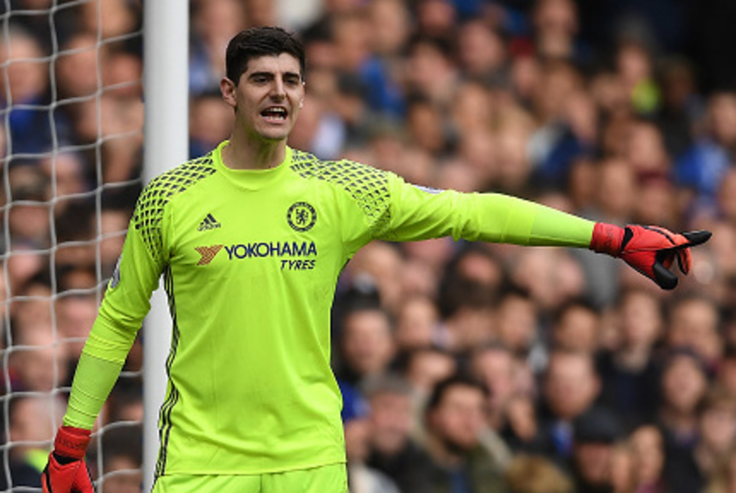 LONDON, ENGLAND - FEBRUARY 04:  Thibaut Courtois of Chelsea in action during the Premier League match between Chelsea and Arsenal at Stamford Bridge on February 4, 2017 in London, England.  (Photo by Mike Hewitt/Getty Images)