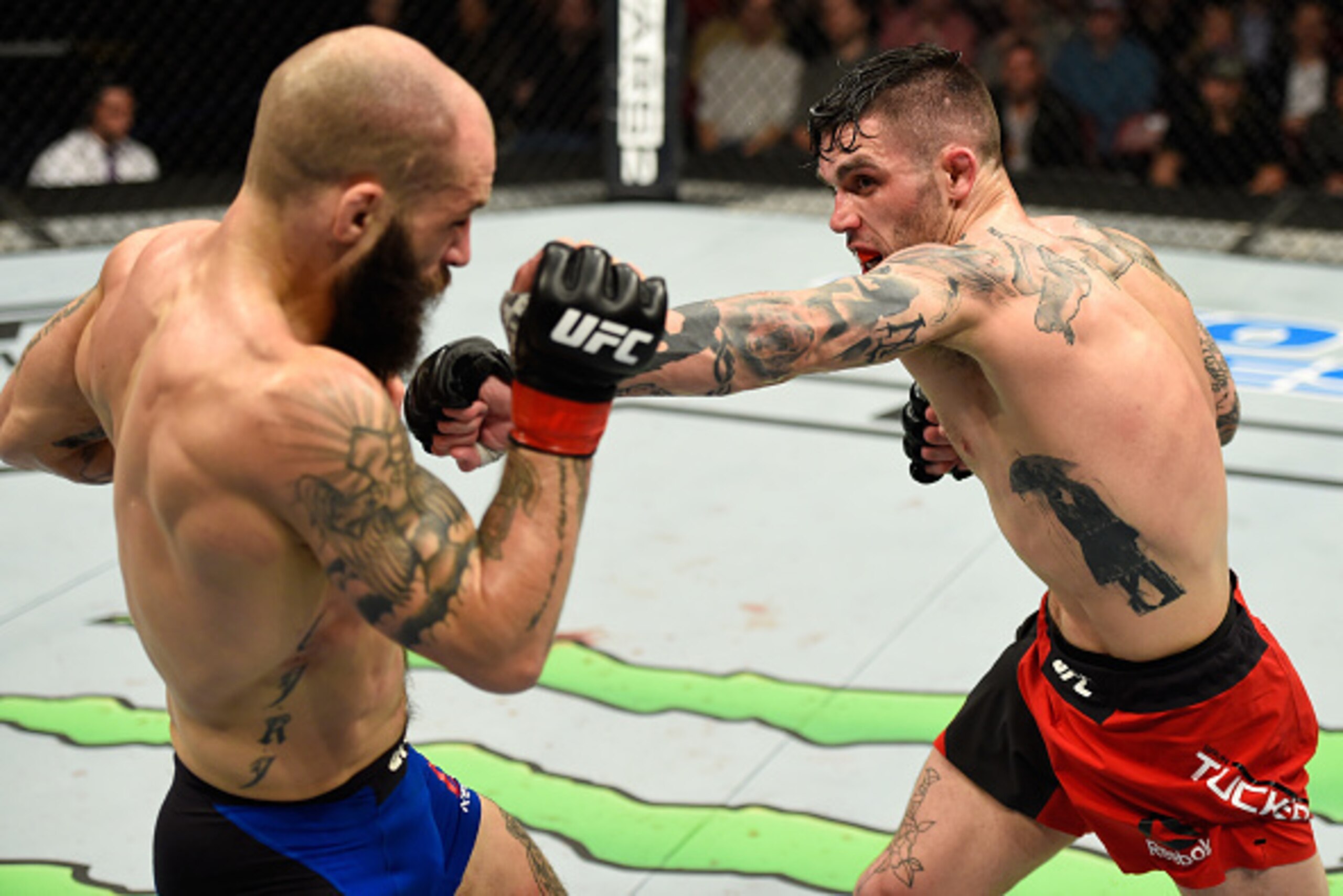 HALIFAX, NS - FEBRUARY 19:  (R-L) Gavin Tucker of Canada punches Sam Sicilia in their featherweight fight during the UFC Fight Night event inside the Scotiabank Centre on February 19, 2017 in Halifax, Nova Scotia, Canada. (Photo by Josh Hedges/Zuffa LLC/Z