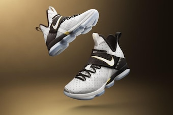 LeBron 14 BHM