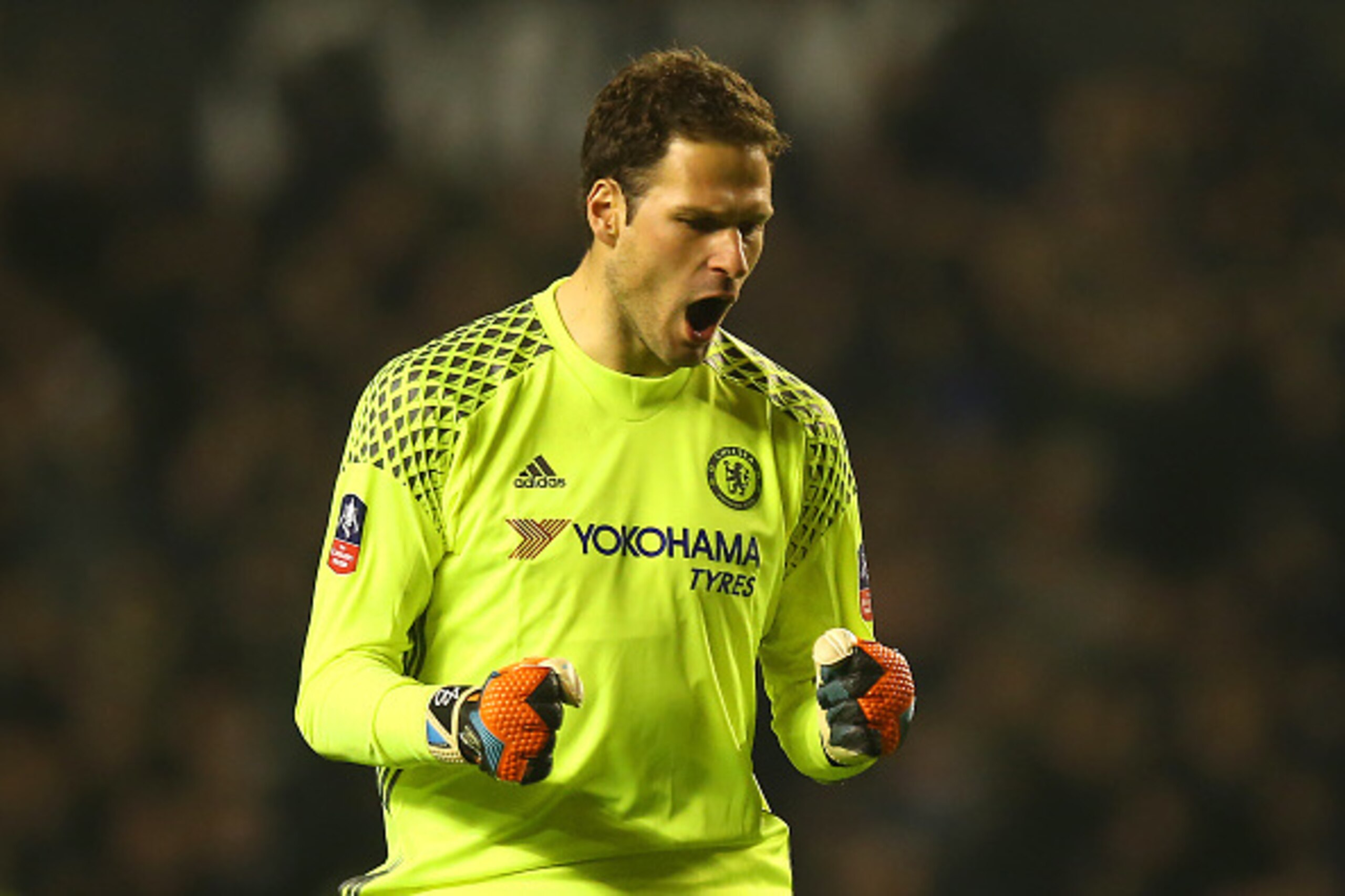 WOLVERHAMPTON, ENGLAND - FEBRUARY 18: Asmir Begovic of Chelsea celebrates after Diego Costa of Chelsea scored a goal top make it 0-2 during the Emirates FA Cup Fifth Round match between Wolverhampton Wanderers and Chelsea at Molineux on February 18, 2017 WOLVERHAMPTON, ENGLAND - FEBRUARY 18: Asmir Begovic of Chelsea celebrates after Diego Costa of Chelsea scored a goal top make it 0-2 during the Emirates FA Cup Fifth Round match between Wolverhampton Wanderers and Chelsea at Molineux on February 18, 2017