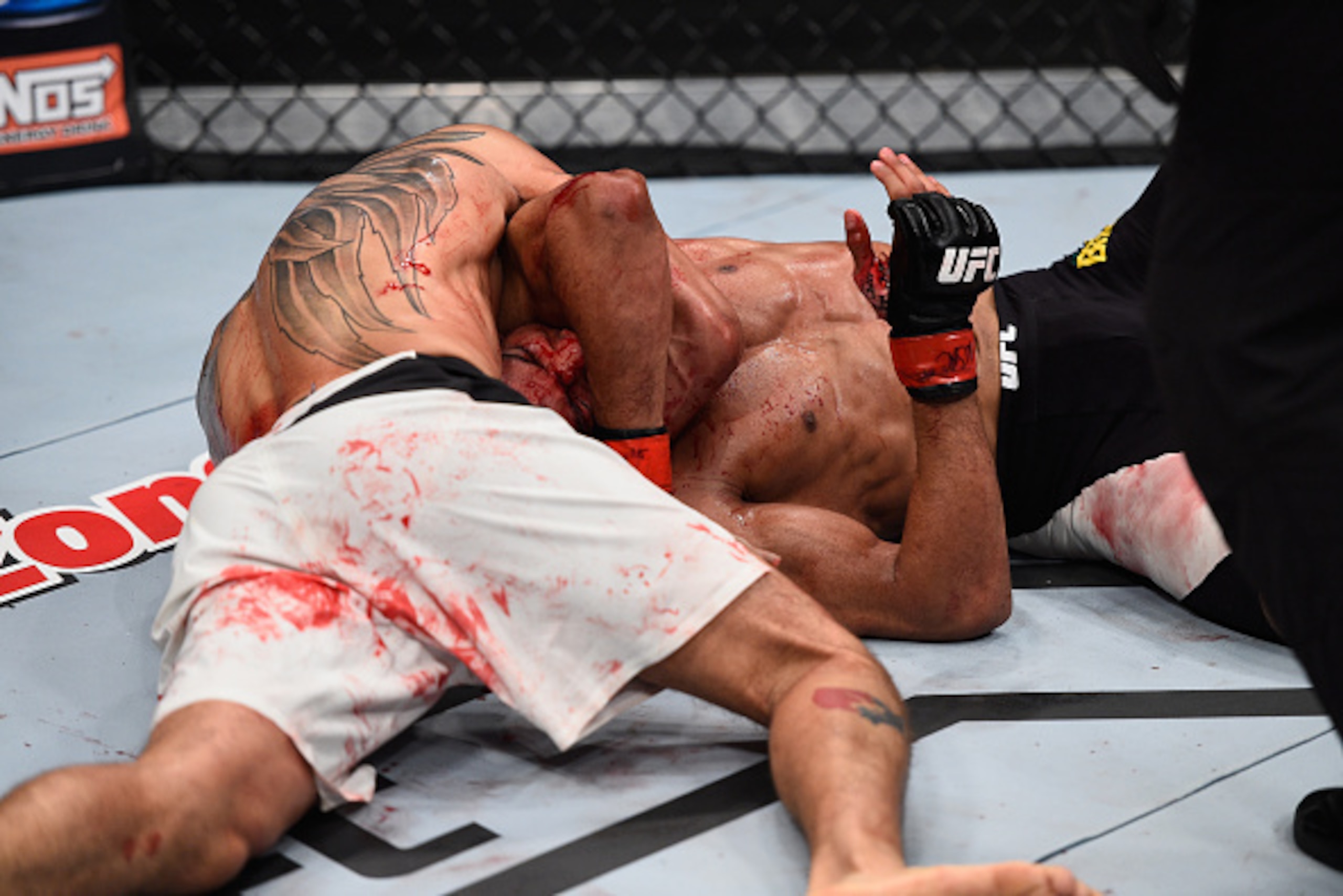 LAS VEGAS, NV - DECEMBER 11: Tony Ferguson (white trunks) attempts to submit Edson Barboza in their lightweight bout during the TUF Finale event inside The Chelsea at The Cosmopolitan of Las Vegas on December 11, 2015 in Las Vegas, Nevada.  (Photo by Jeff