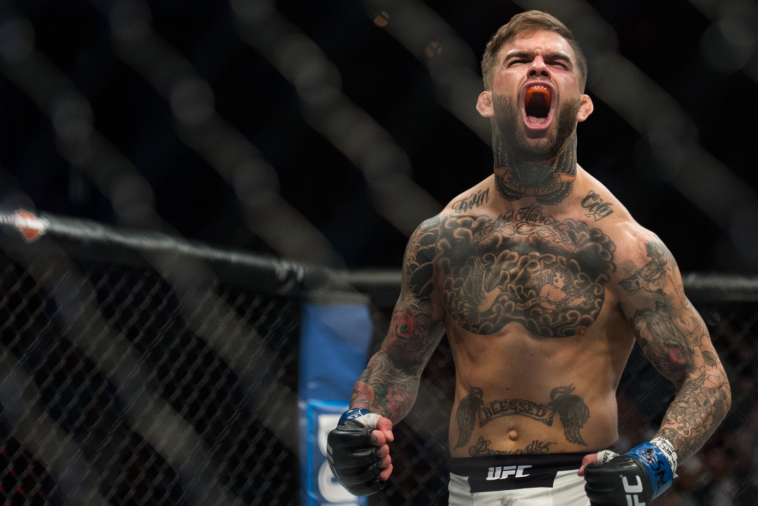 Cody Garbrandt celebrates his knockout victory over Thomas Almeida in their bantamweight bout during the UFC Fight Night event inside the Mandalay Bay Events Center on May 29, 2016, in Las Vegas. Cody Garbrandt celebrates his knockout victory over Thomas Almeida in their bantamweight bout during the UFC Fight Night event inside the Mandalay Bay Events Center on May 29, 2016, in Las Vegas.