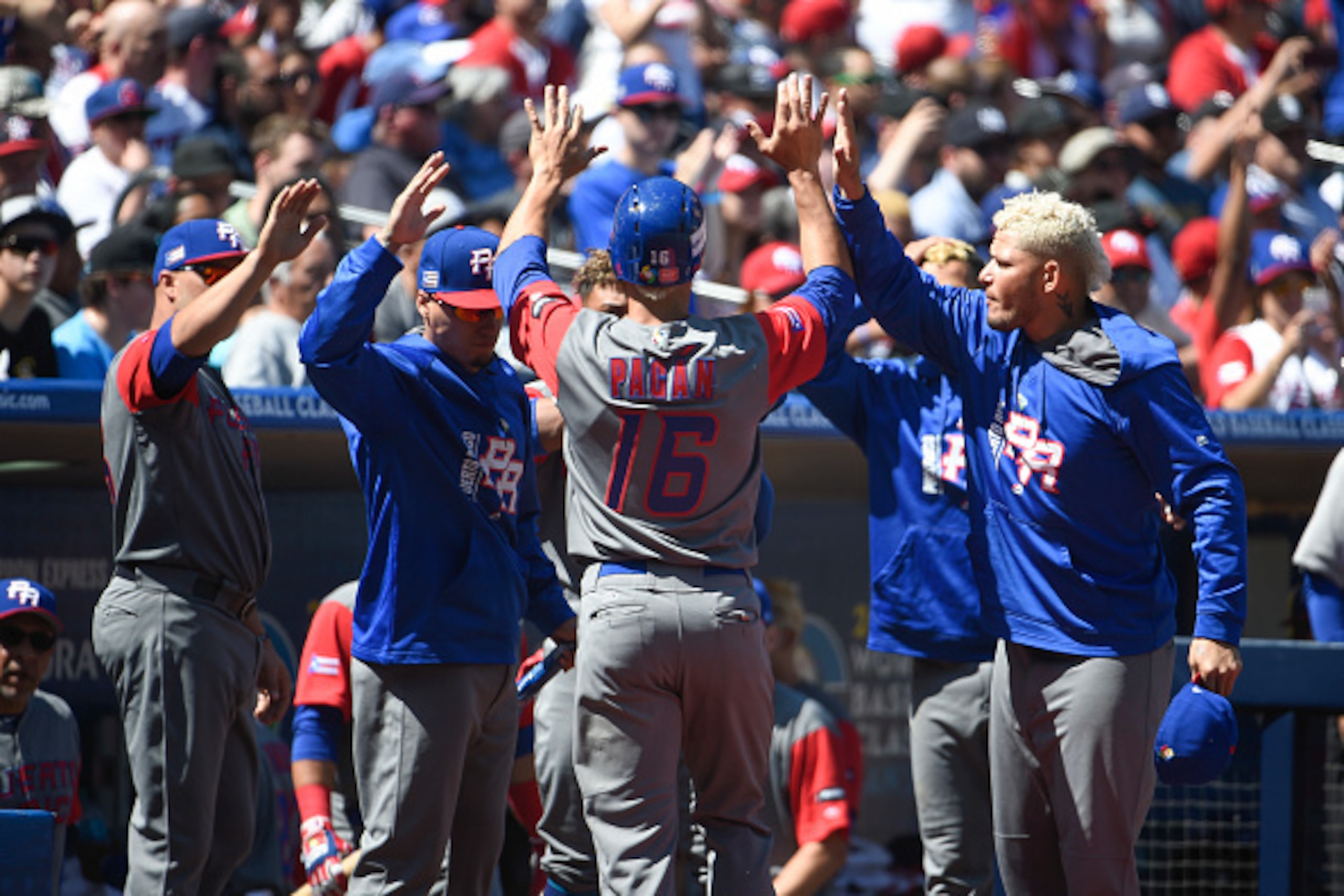 SAN DIEGO, CA - MARCH 18: Angel Pagan #16 of Puerto Rico is congratulated after scoring during the first inning of the World Baseball Classic Pool F Game Five between Puerto Rico and Venezuela  at PETCO Park on March 18, 2017 in San Diego, California.  (P