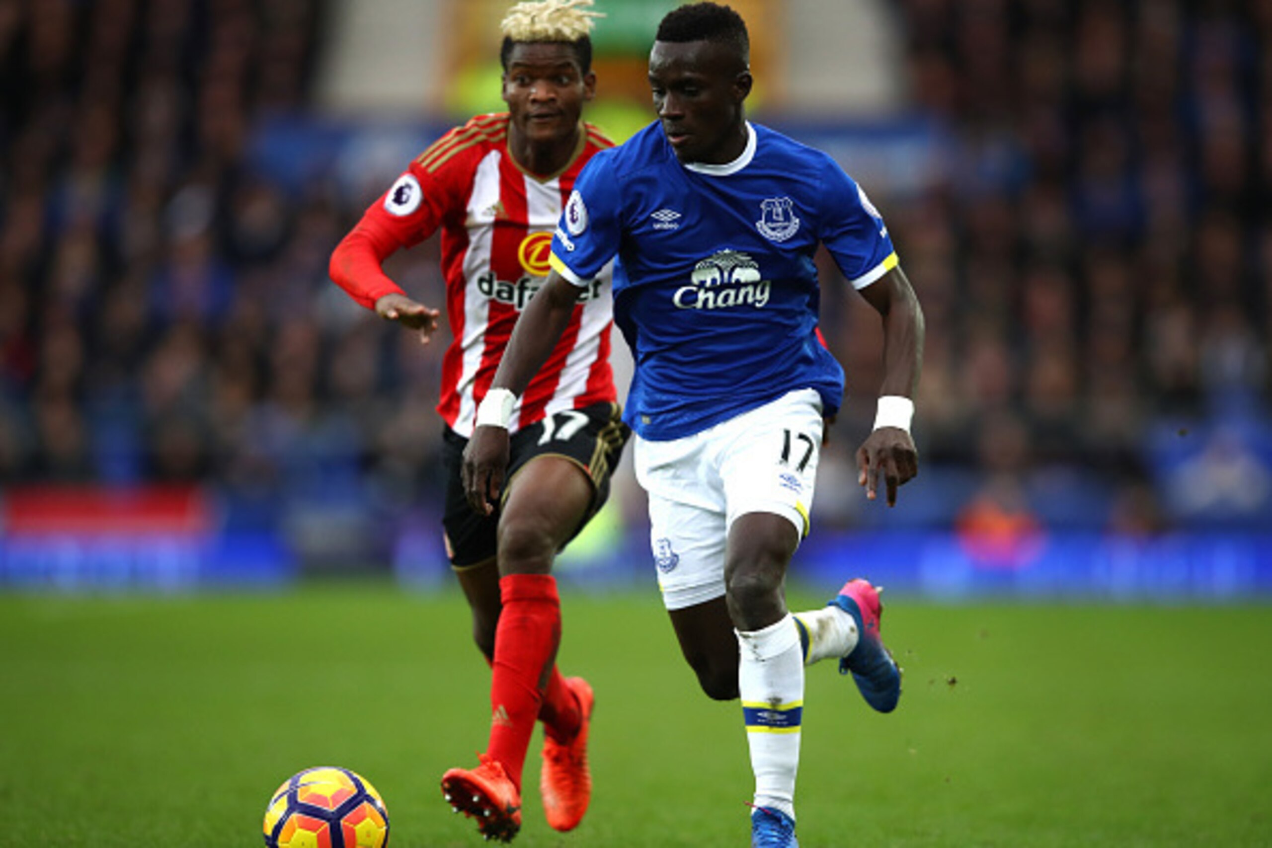 LIVERPOOL, ENGLAND - FEBRUARY 25: Dider N'dong of Sunderland (L) runs after Idrissa Gueye of Everton (R) during the Premier League match between Everton and Sunderland at Goodison Park on February 25, 2017 in Liverpool, England.  (Photo by Clive Brunskill