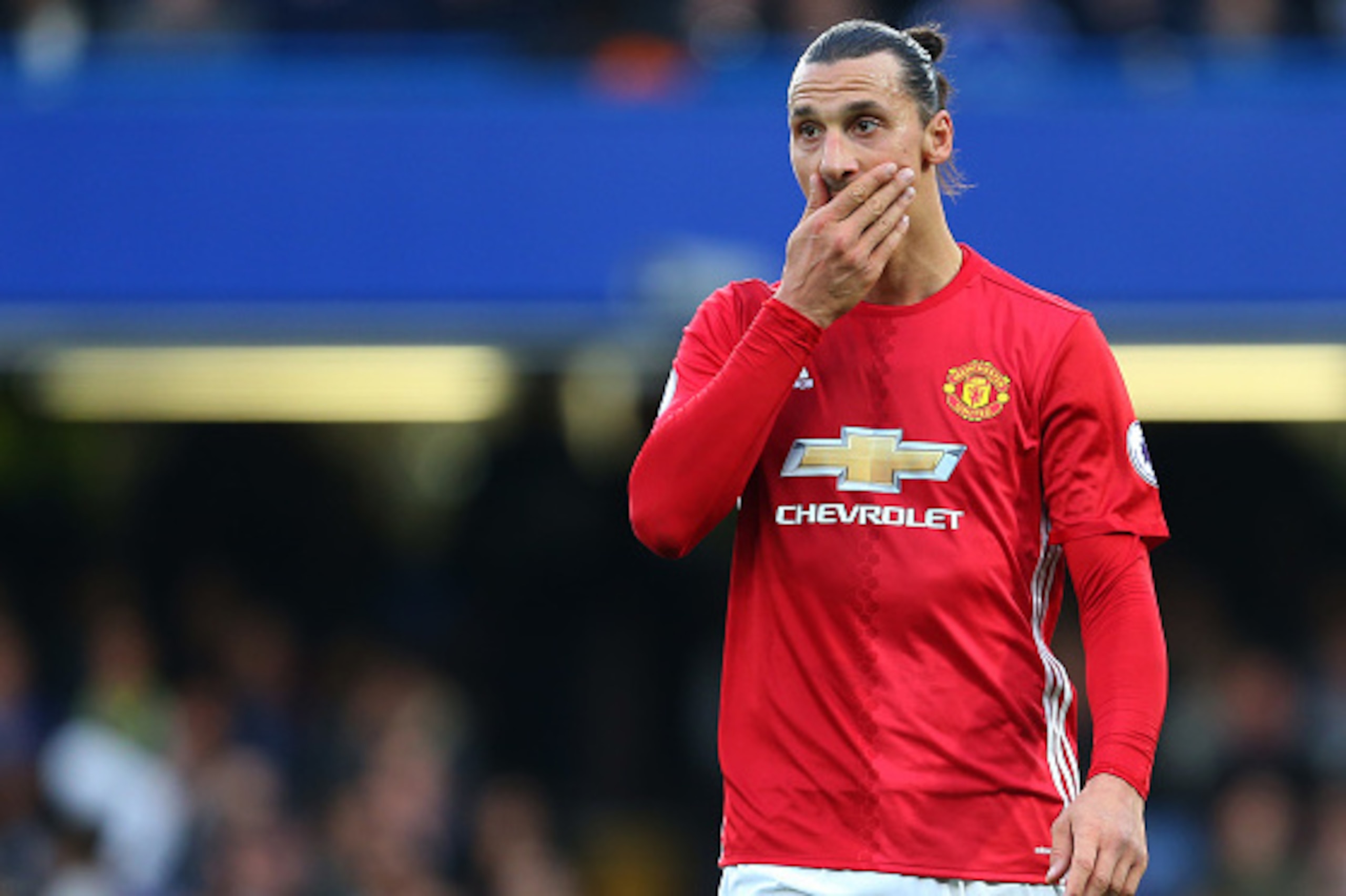 LONDON, ENGLAND - OCTOBER 23: A dejected looking Zlatan Ibrahimovic of Manchester United during the Premier League match between Chelsea and Manchester United at Stamford Bridge on October 23, 2016 in London, England. (Photo by Catherine Ivill - AMA/Getty LONDON, ENGLAND - OCTOBER 23: A dejected looking Zlatan Ibrahimovic of Manchester United during the Premier League match between Chelsea and Manchester United at Stamford Bridge on October 23, 2016 in London, England. (Photo by Catherine Ivill - AMA/Getty