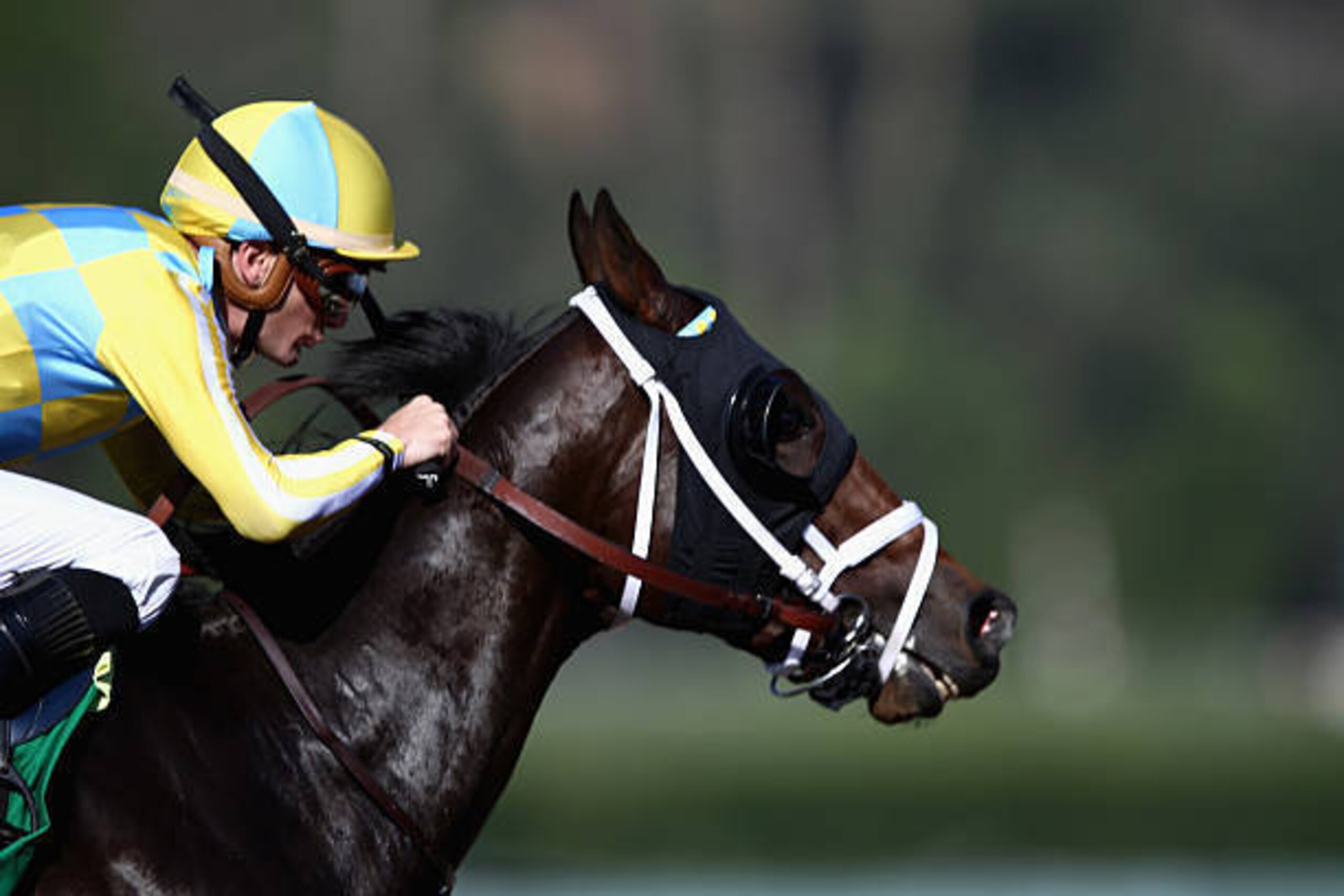 ARCADIA, CA - NOVEMBER 05:  Classic Empire ridden by Julien Leparoux wins the Sentient Jet Juvenile race on day two of the 2016 Breeders' Cup World Championships at Santa Anita Park on November 5, 2016 in Arcadia, California.  (Photo by Joe Scarnici/Getty