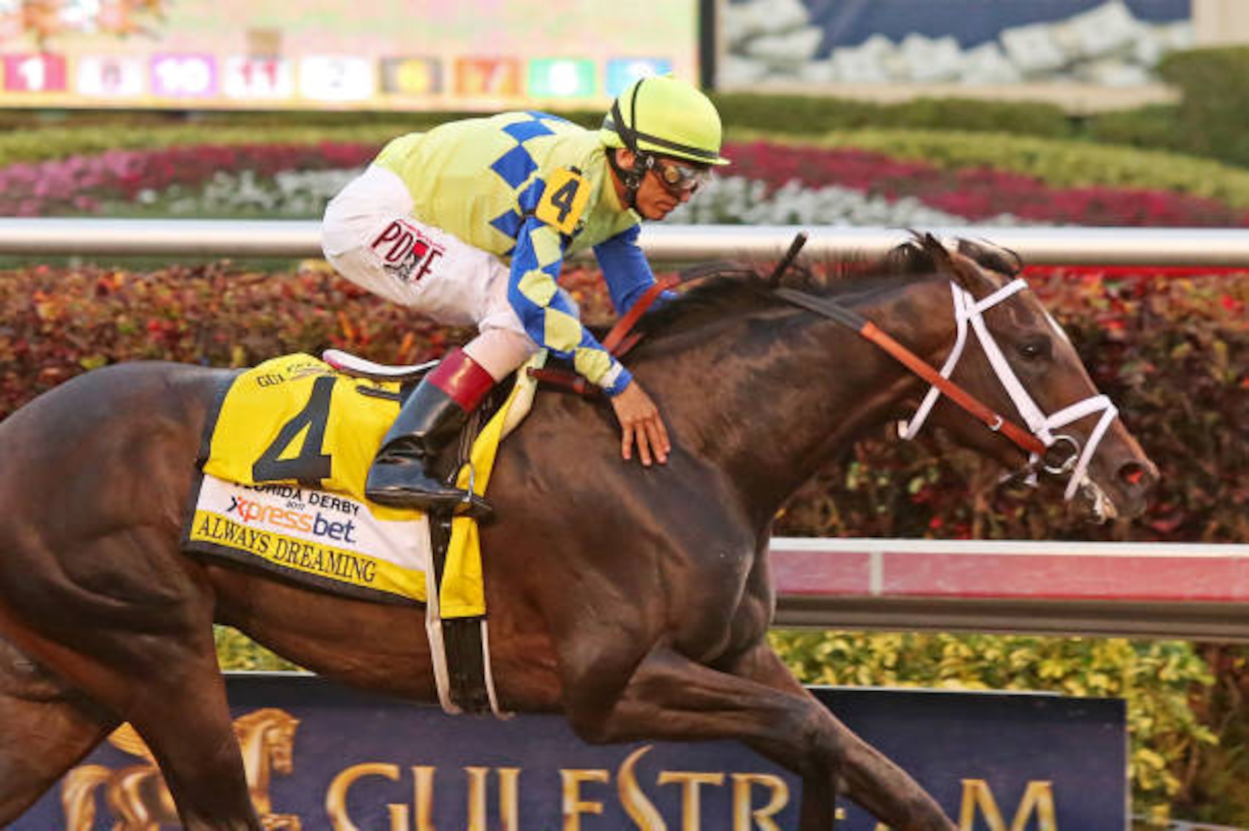 HALLANDALE BEACH, FL - APRIL 01:  Always Dreaming #4 (FL) with jockey John Velazquez on board, wins the Xpressbet Florida Derby (Grade I) at Gulfstream Park on April 01, 2017 in Hallandale Beach, Florida. (Photo by Liz Lamont/Eclipse Sportswire/Getty Imag