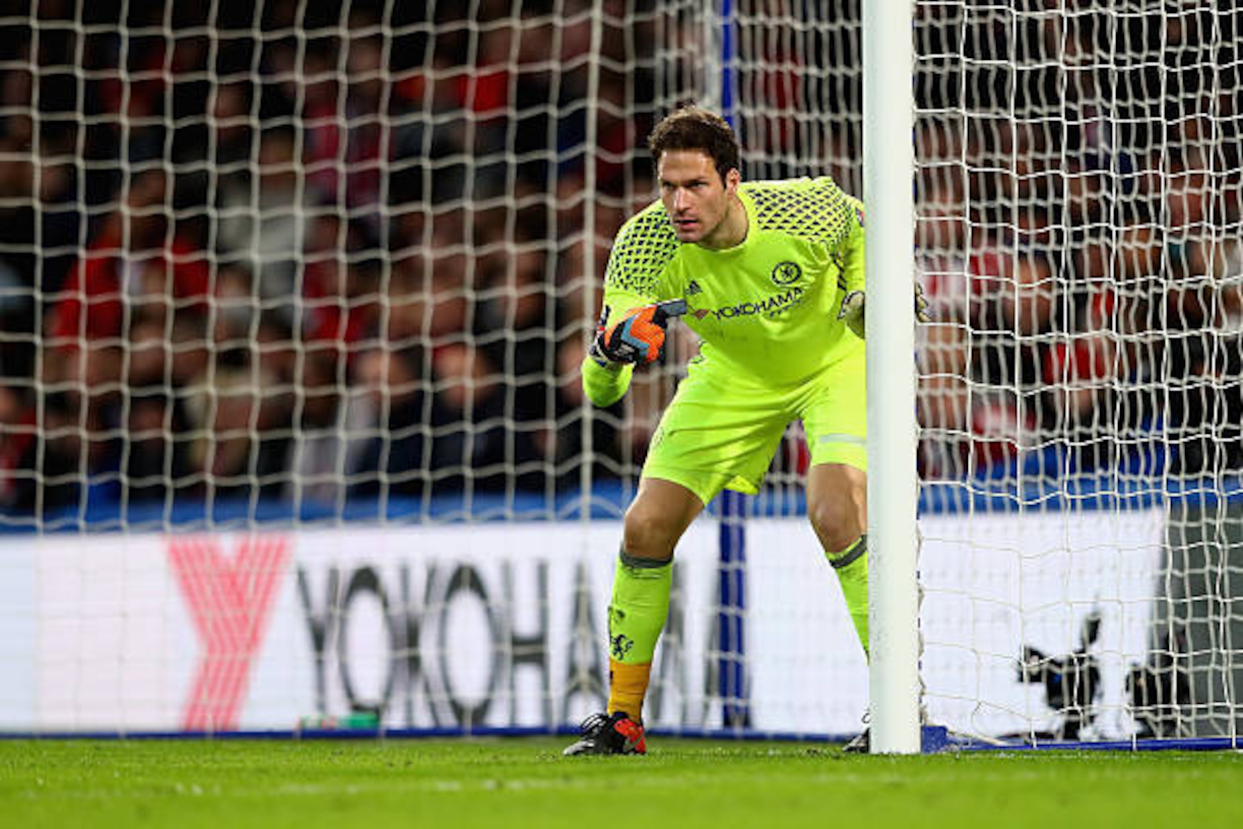 LONDON, ENGLAND - JANUARY 28:  Asmir Begovic of Chelsea in action during the Emirates FA Cup fourth round match between Chelsea and Brentford at Stamford Bridge on January 28, 2017 in London, England.  (Photo by Clive Mason/Getty Images)