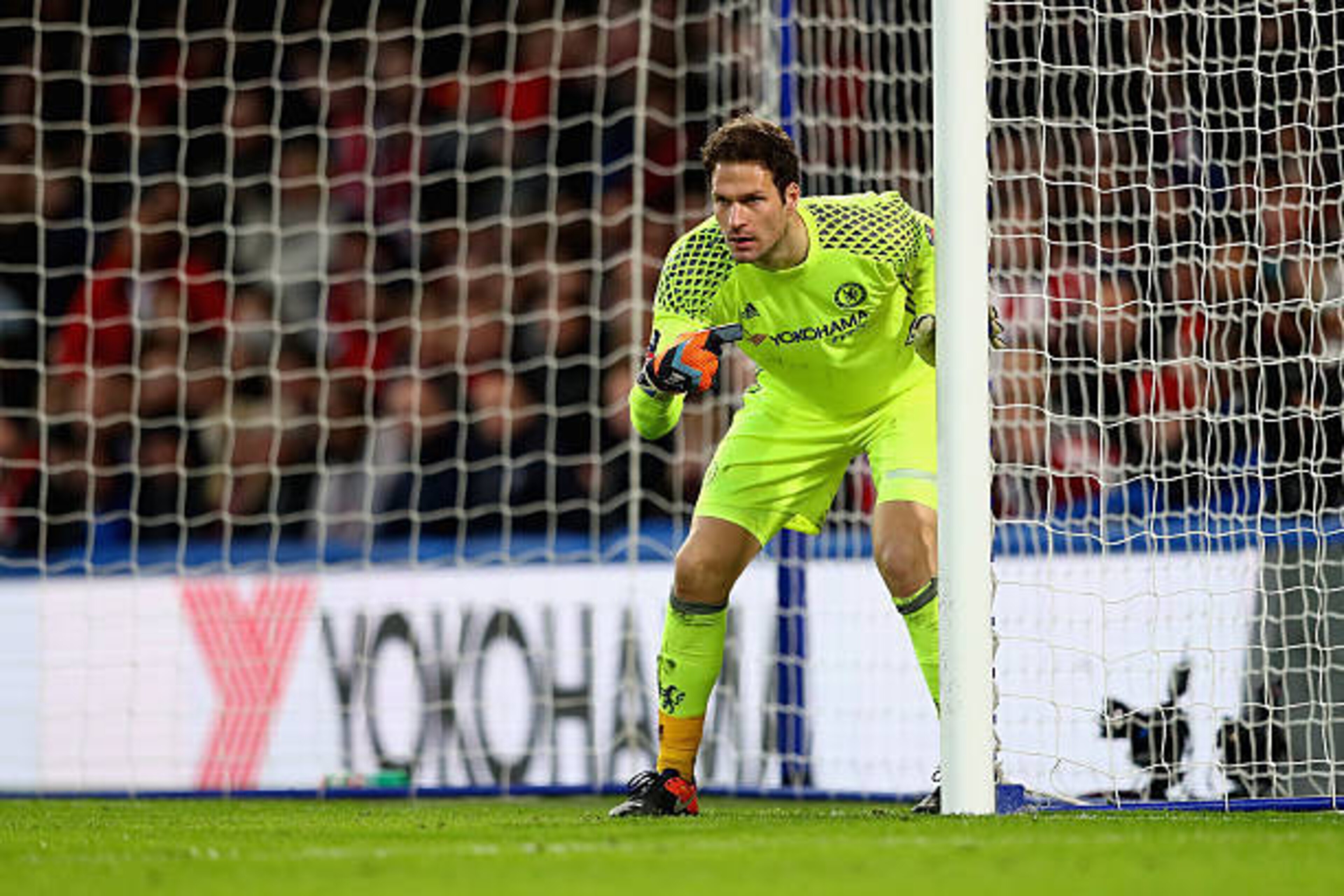 LONDON, ENGLAND - JANUARY 28:  Asmir Begovic of Chelsea in action during the Emirates FA Cup fourth round match between Chelsea and Brentford at Stamford Bridge on January 28, 2017 in London, England.  (Photo by Clive Mason/Getty Images)
