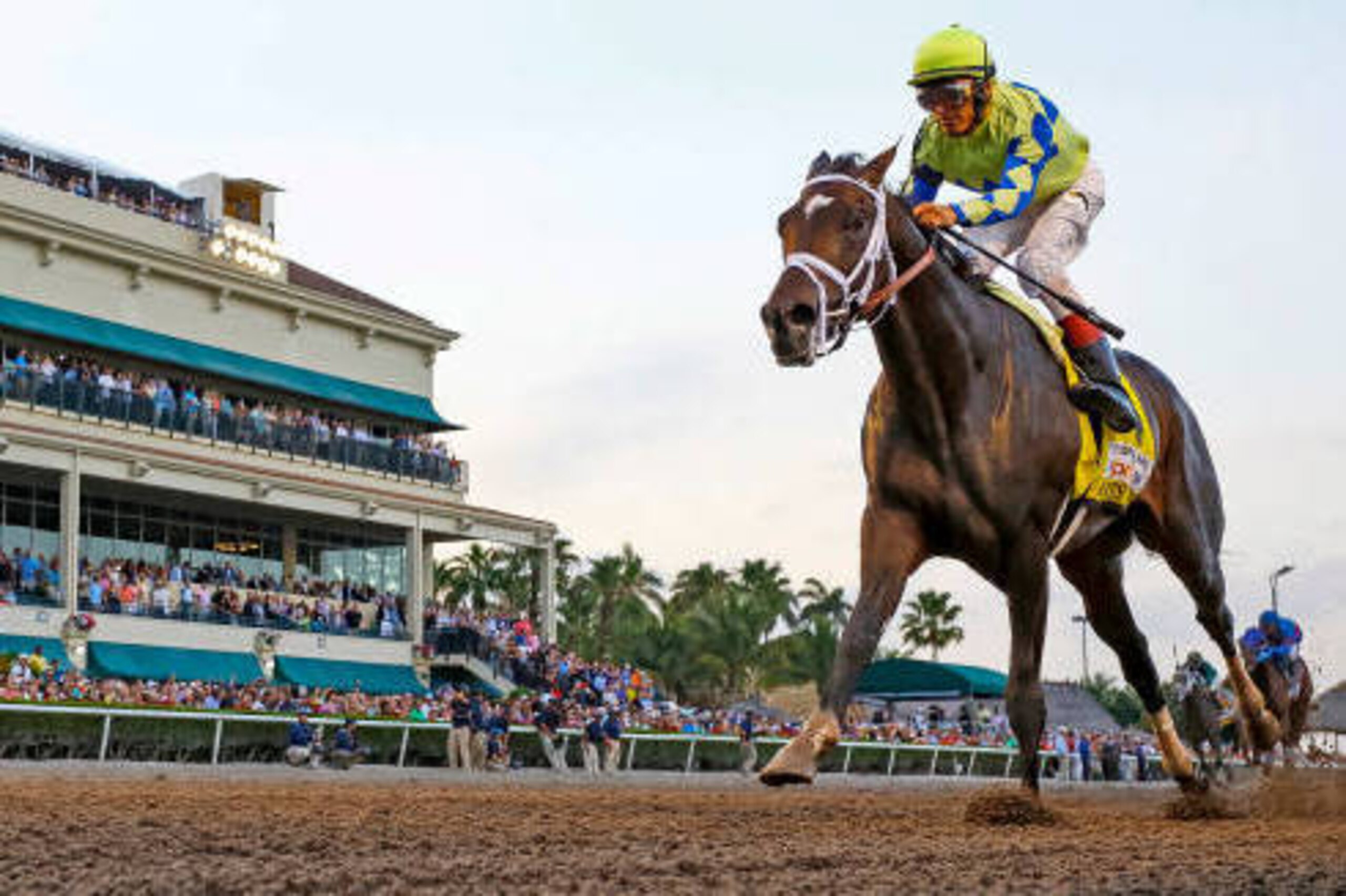 HALLANDALE BEACH, FL - APRIL 01:  Always Dreaming #4 (FL) with jockey John Velazquez on board, wins the Xpressbet Florida Derby (Grade I) at Gulfstream Park on April 01, 2017 in Hallandale Beach, Florida. (Photo by Liz Lamont/Eclipse Sportswire/Getty Imag