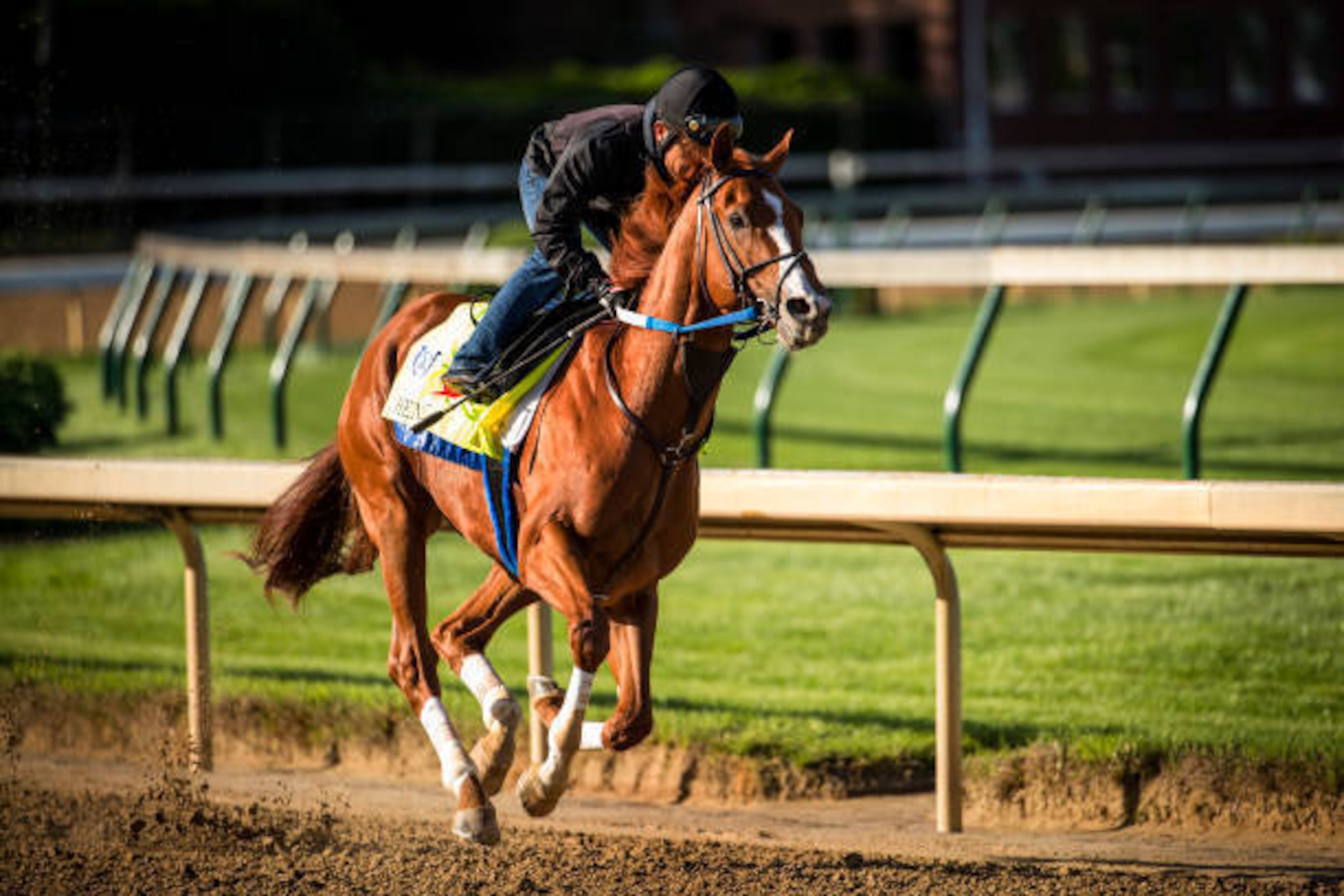 LOUISVILLE, KY - MAY 01: Hence completes his final workout for the Kentucky Derby at Churchill Downs on May 01, 2017 in Louisville, Kentucky. (Photo by Alex Evers/Eclipse Sportswire/Getty Images)