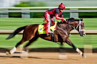 LOUISVILLE, KENTUCKY - MAY 01: Classic Empire, owned by John Oxley and trained by Mark E. Casse, exercises in preparation for the Kentucky Derby during Kentucky Derby and Oaks preparations at Churchill Downs on May 1, 2017 in Louisville, Kentucky. (Photo 