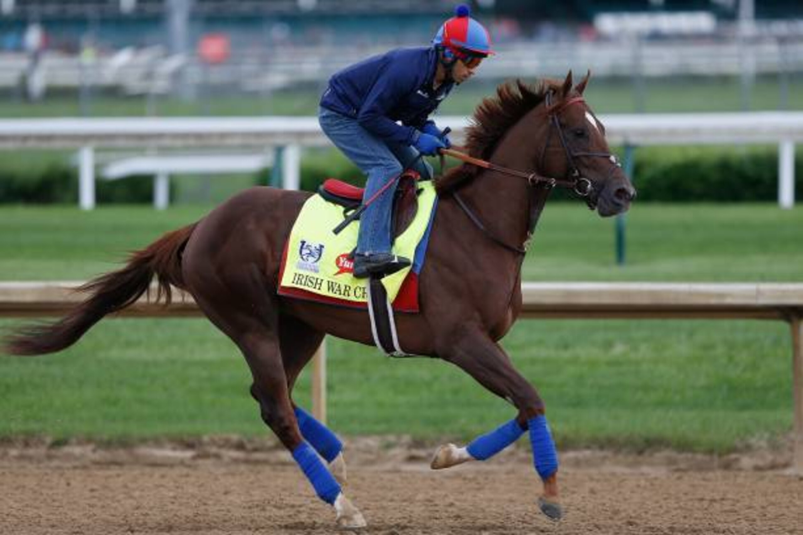 LOUISVILLE, KY - MAY 03:  Irish War Cry runs on the track during the morning training for the Kentucky Derby at Churchill Downs on May 3, 2017 in Louisville, Kentucky.  (Photo by Michael Reaves/Getty Images)