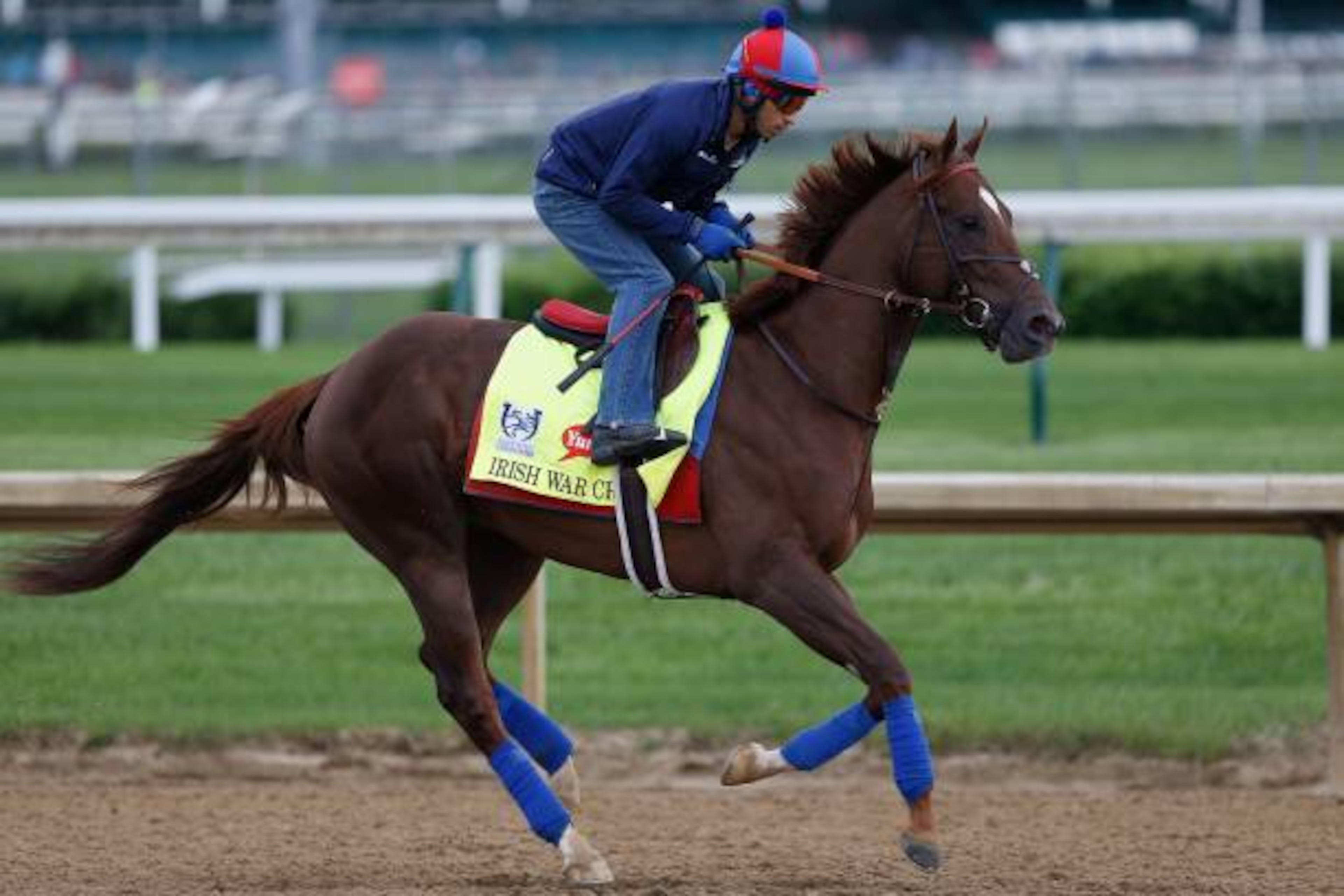LOUISVILLE, KY - MAY 03:  Irish War Cry runs on the track during the morning training for the Kentucky Derby at Churchill Downs on May 3, 2017 in Louisville, Kentucky.  (Photo by Michael Reaves/Getty Images)