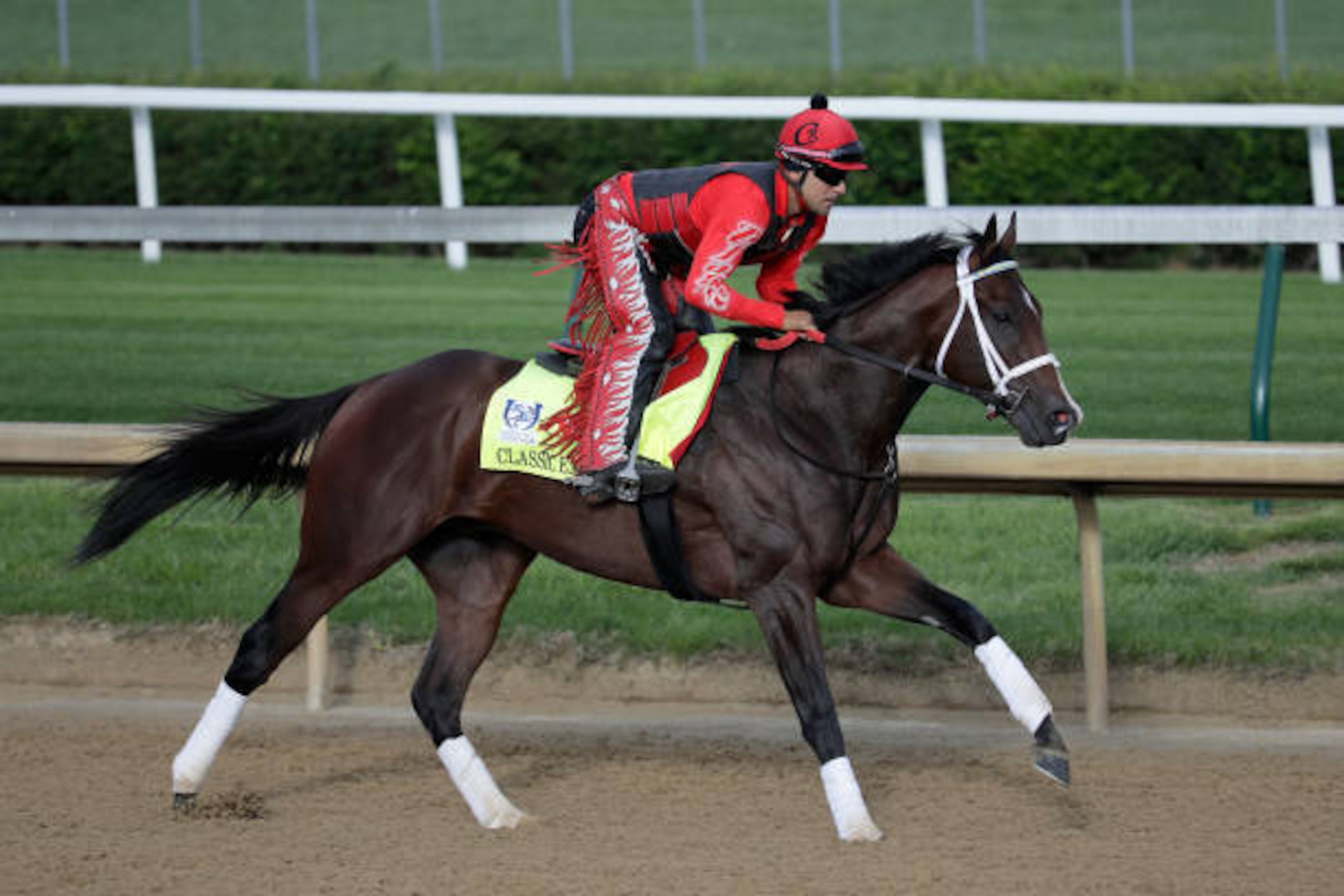 LOUISVILLE, KY - MAY 03:  Classic Empire runs on the track during the morning training for the Kentucky Derby at Churchill Downs on May 3, 2017 in Louisville, Kentucky.  (Photo by Andy Lyons/Getty Images)