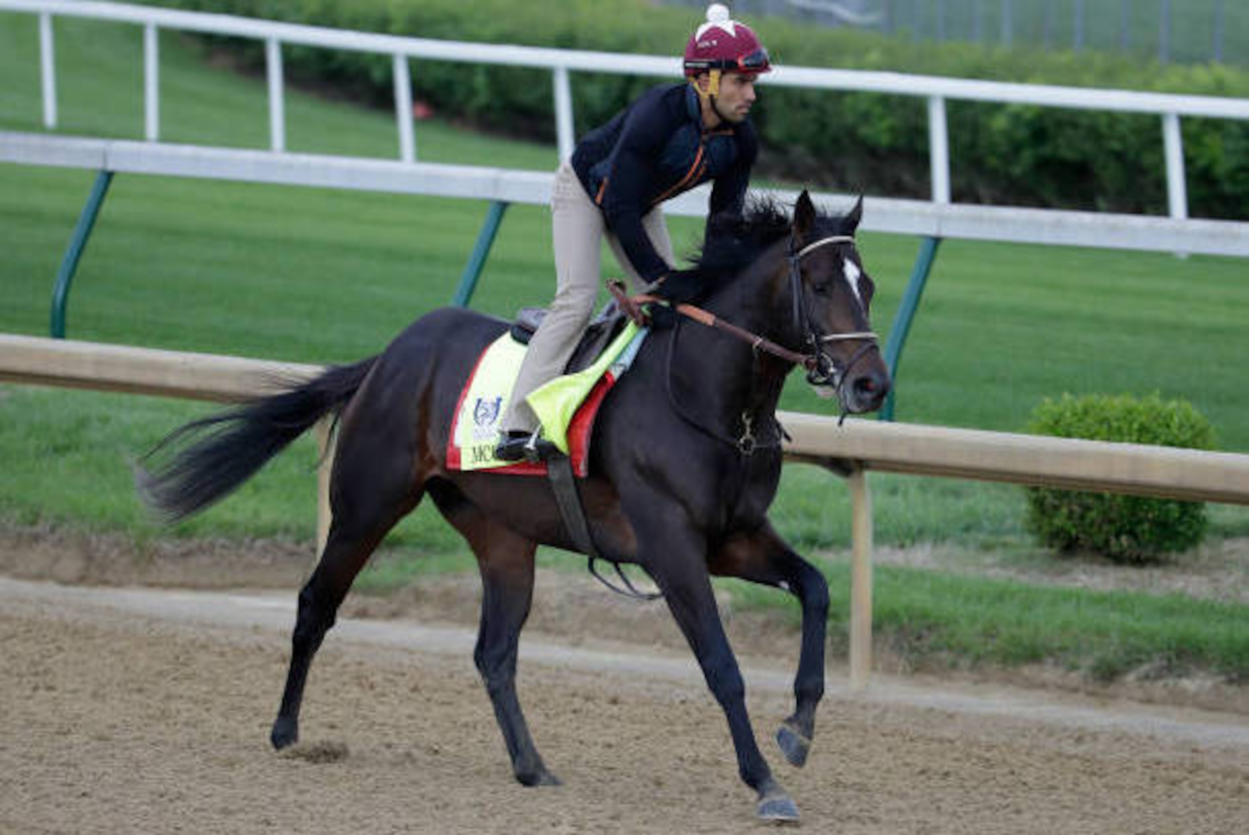 LOUISVILLE, KY - MAY 03:  McCraken runs on the track during the morning training for the Kentucky Derby at Churchill Downs on May 3, 2017 in Louisville, Kentucky.  (Photo by Andy Lyons/Getty Images)