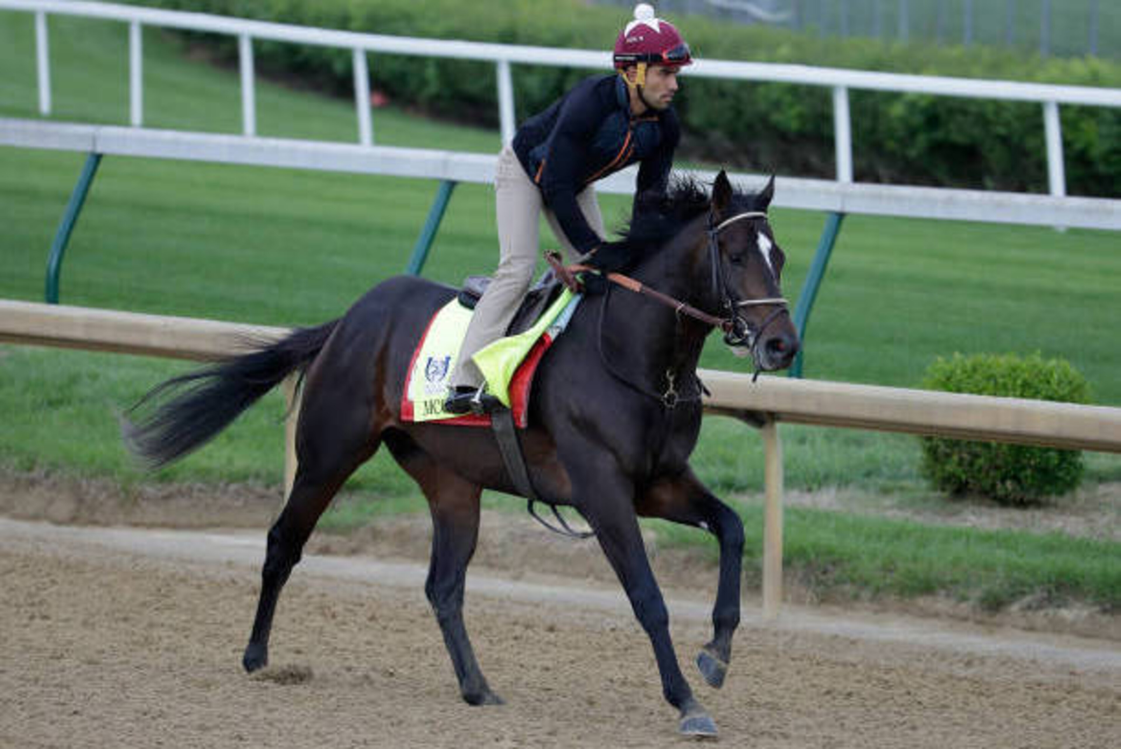 LOUISVILLE, KY - MAY 03:  McCraken runs on the track during the morning training for the Kentucky Derby at Churchill Downs on May 3, 2017 in Louisville, Kentucky.  (Photo by Andy Lyons/Getty Images)