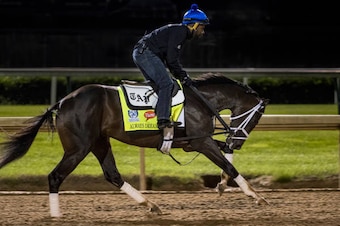 LOUISVILLE, KY - MAY 02: Always Dreaming, owned by Brooklyn Boyz Stables and trained by Todd Pletcher, exercises in preparation for the Kentucky Derby at Churchill Downs on May 02, 2017 in Louisville, Kentucky. (Photo by Alex Evers/Eclipse Sportswire/Gett
