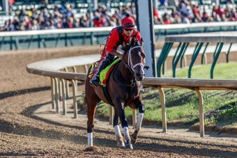 LOUISVILLE, KENTUCKY - MAY 02: Classic Empire, owned by John Oxley and trained by Mark E. Casse, exercises in preparation for the Kentucky Derby at Churchill Downs on May 2, 2017 in Louisville, Kentucky. (Photo by Jesse Caris/Eclipse Sportswire/Getty Imag
