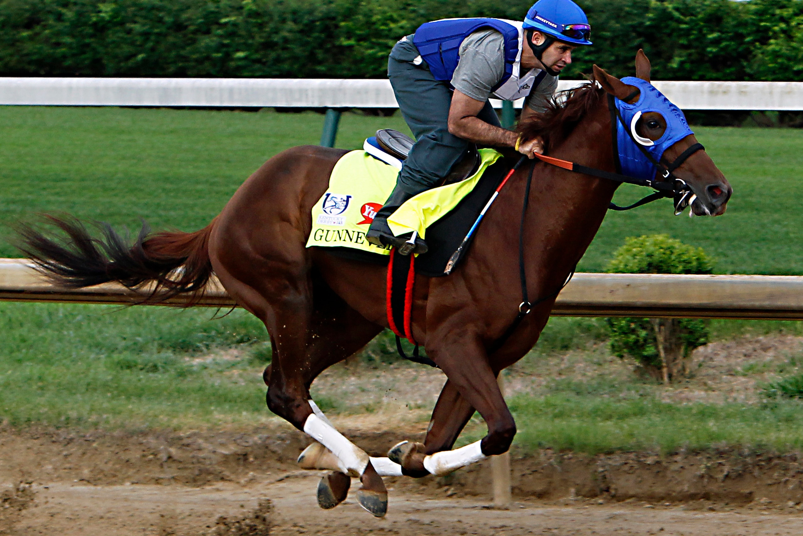 Gunnevera