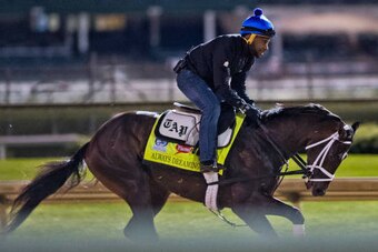 LOUISVILLE, KENTUCKY - MAY 03: Always Dreaming, owned by Brooklyn Boyz Stables and trained by Todd Pletcher, exercises in preparation for the Kentucky Derby at Churchill Downs on May 3, 2017 in Louisville, Kentucky. (Photo by Scott Serio/Eclipse Sportswir
