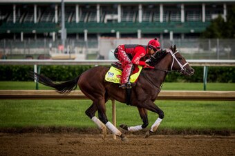 LOUISVILLE, KY - MAY 03: Classic Empire, owned by John Oxley and trained by Mark E. Casse, with Martin Rivers aboard exercises in preparation for the Kentucky Derby at Churchill Downs on May 03, 2017 in Louisville, Kentucky. (Photo by Alex Evers/Eclipse S