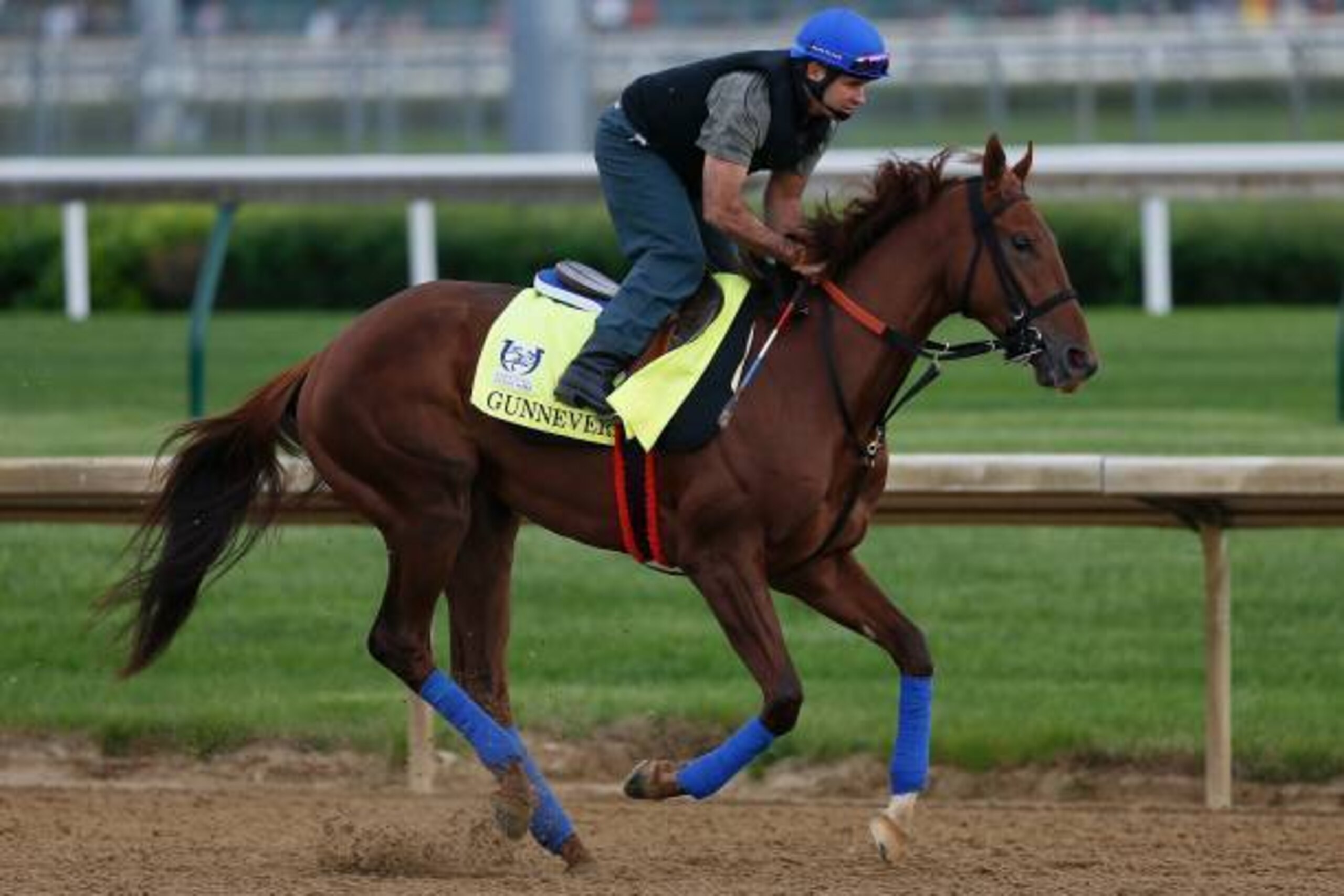 LOUISVILLE, KY - MAY 03:  Gunnevera runs on the track during the morning training for the Kentucky Derby at Churchill Downs on May 3, 2017 in Louisville, Kentucky.  (Photo by Michael Reaves/Getty Images)